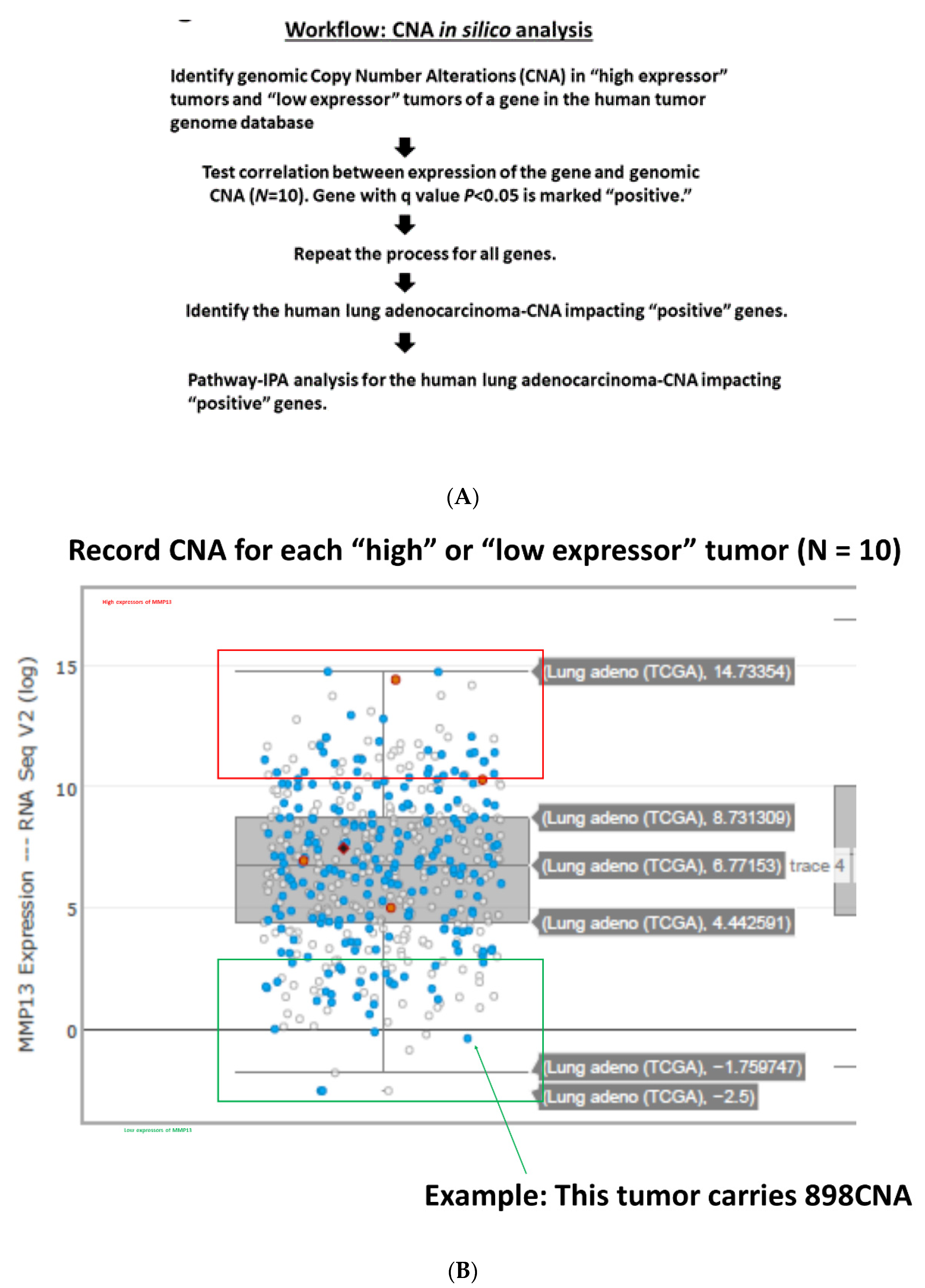 Cancers 13 02586 g001 Cancers 13 02586 g001