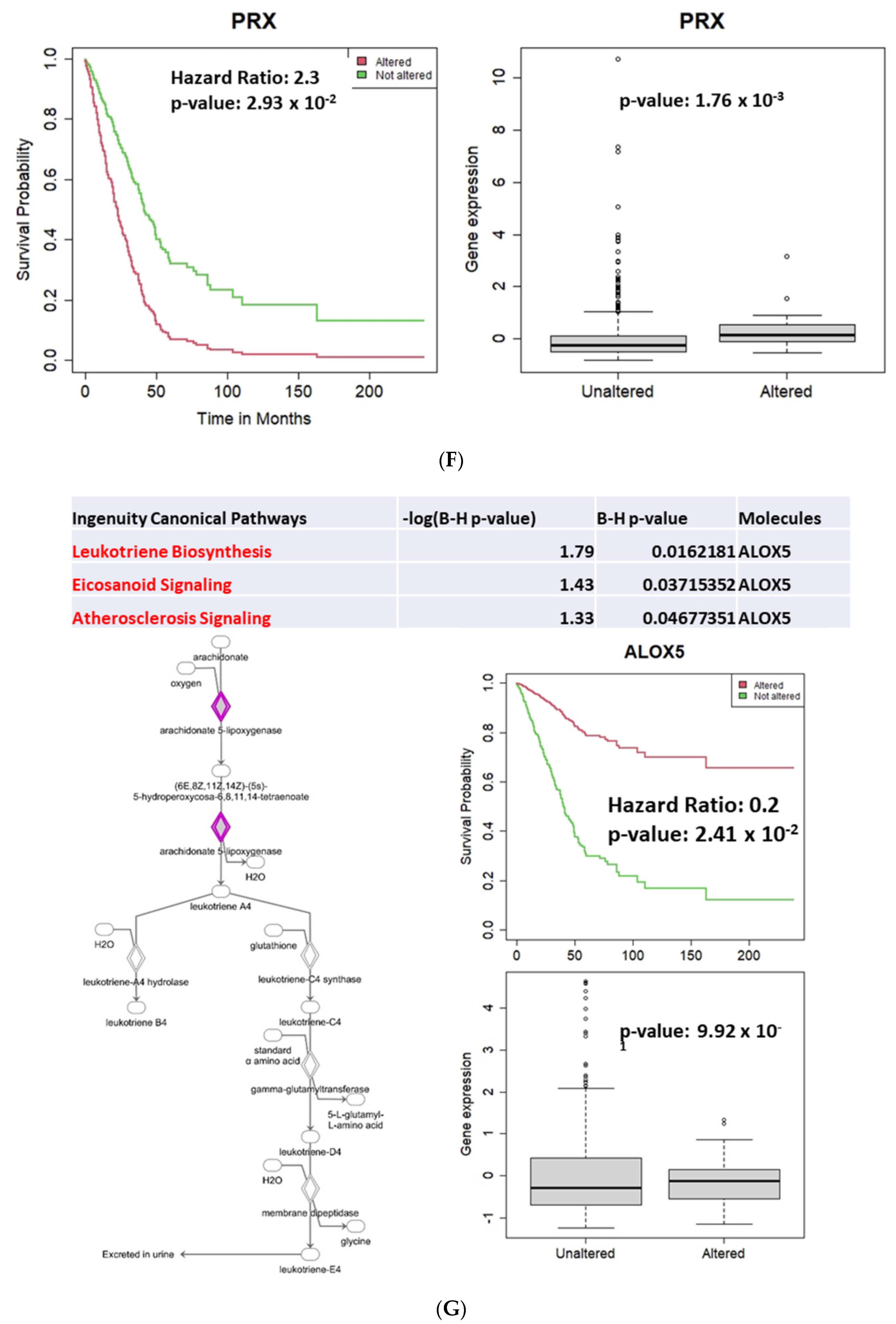 Cancers 13 02586 g004d Cancers 13 02586 g004d