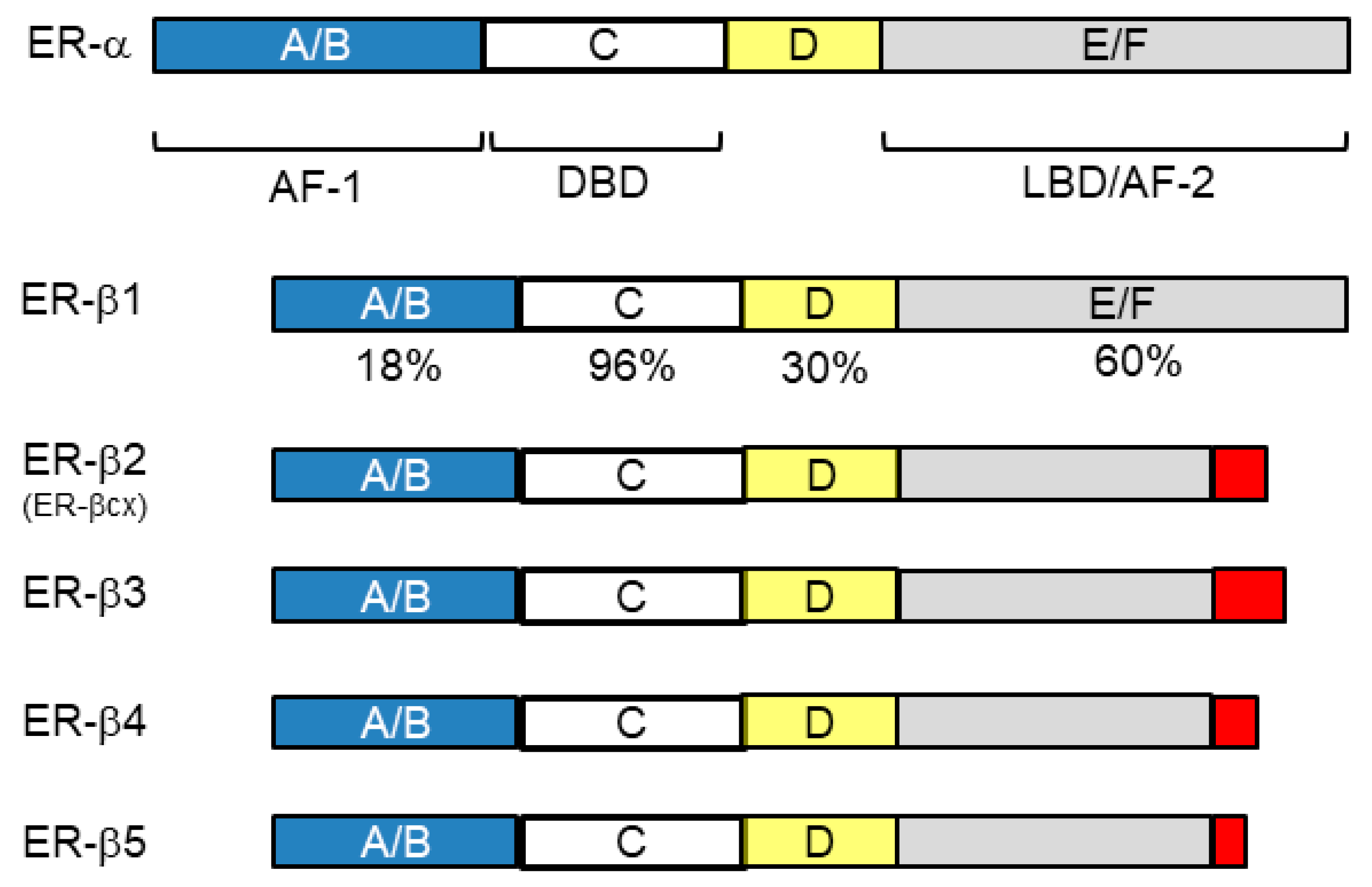 Cancers 13 02588 g002 Cancers 13 02588 g002