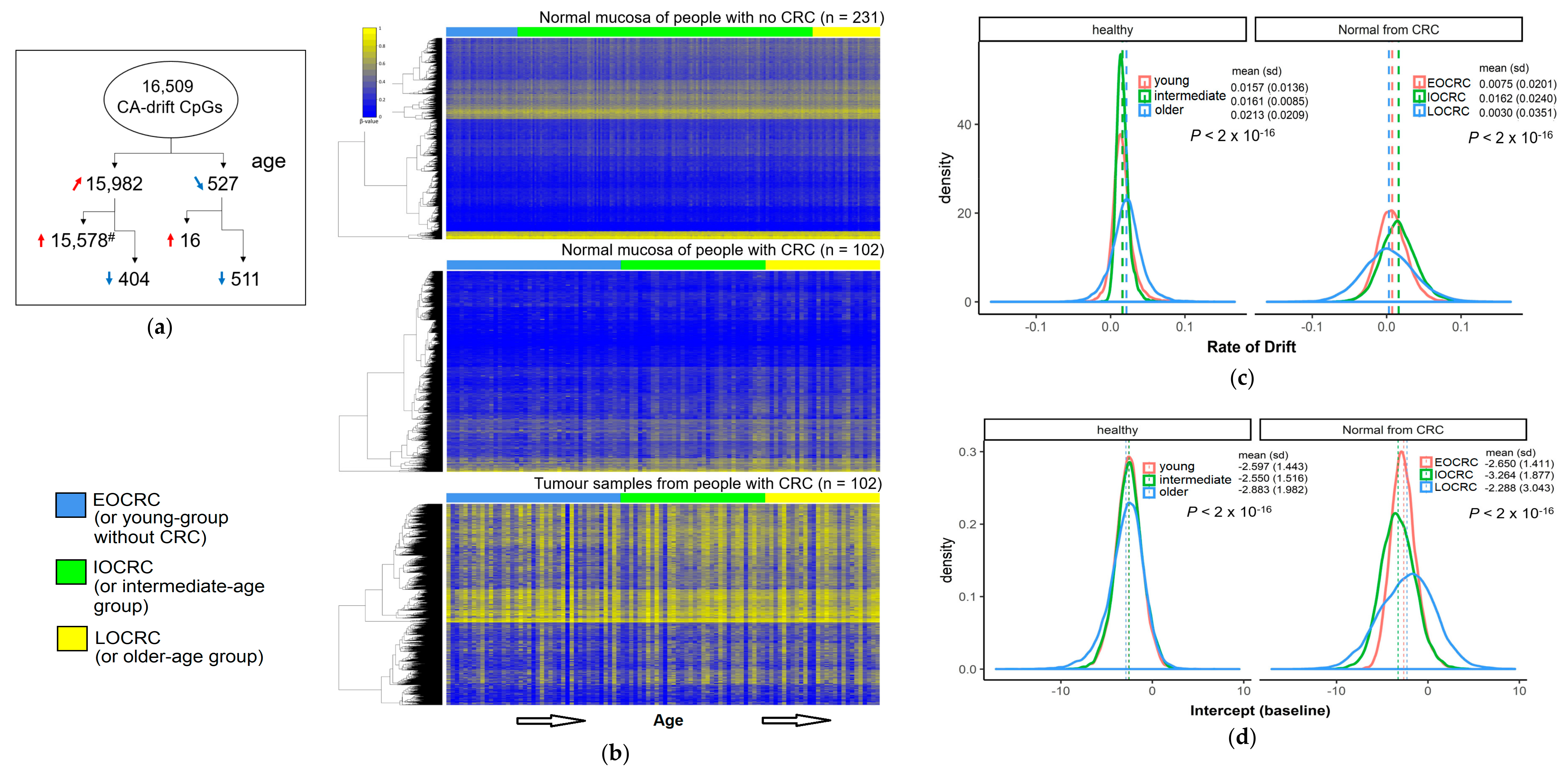 Cancers 13 02589 g003