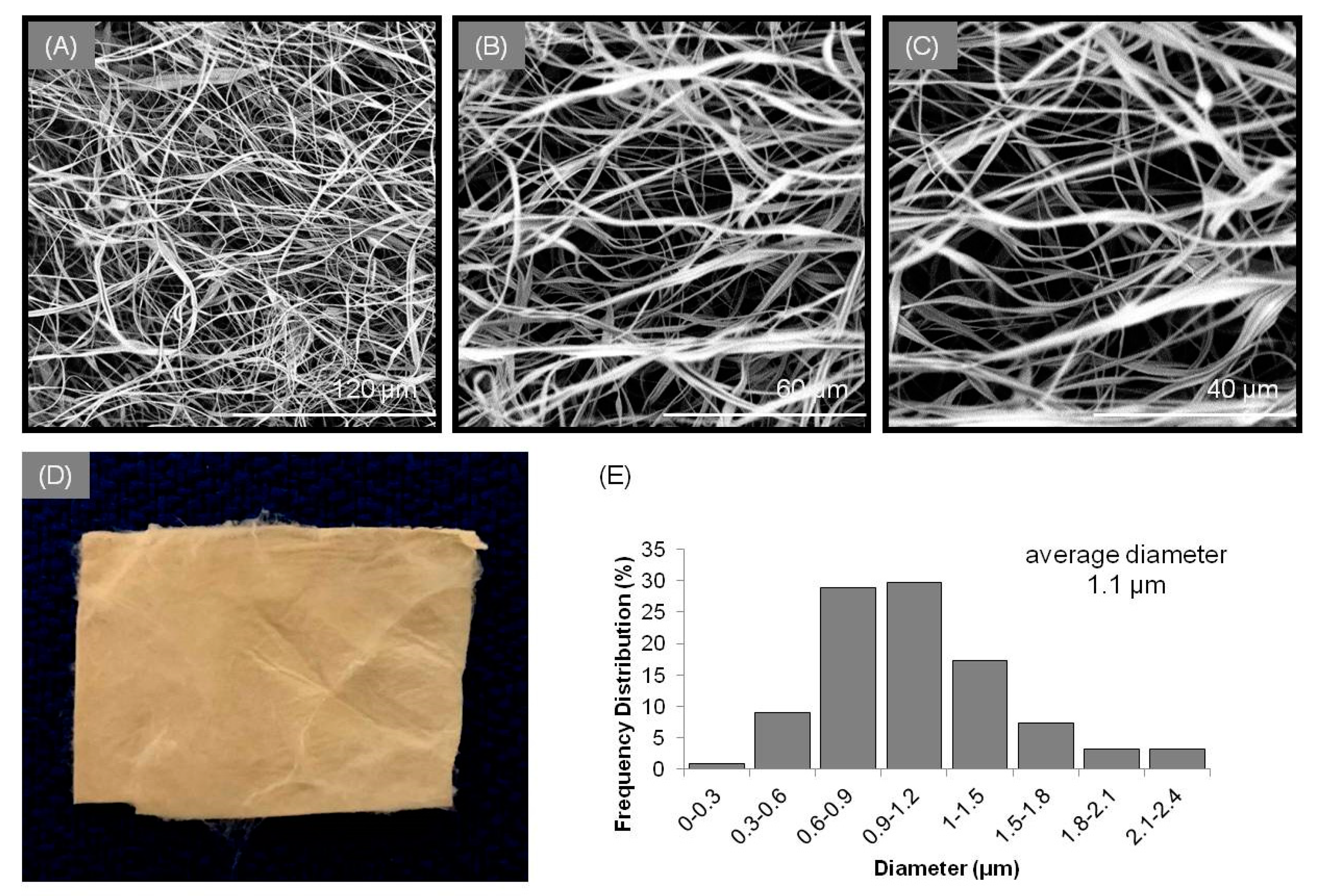 Cancers 13 02596 g001