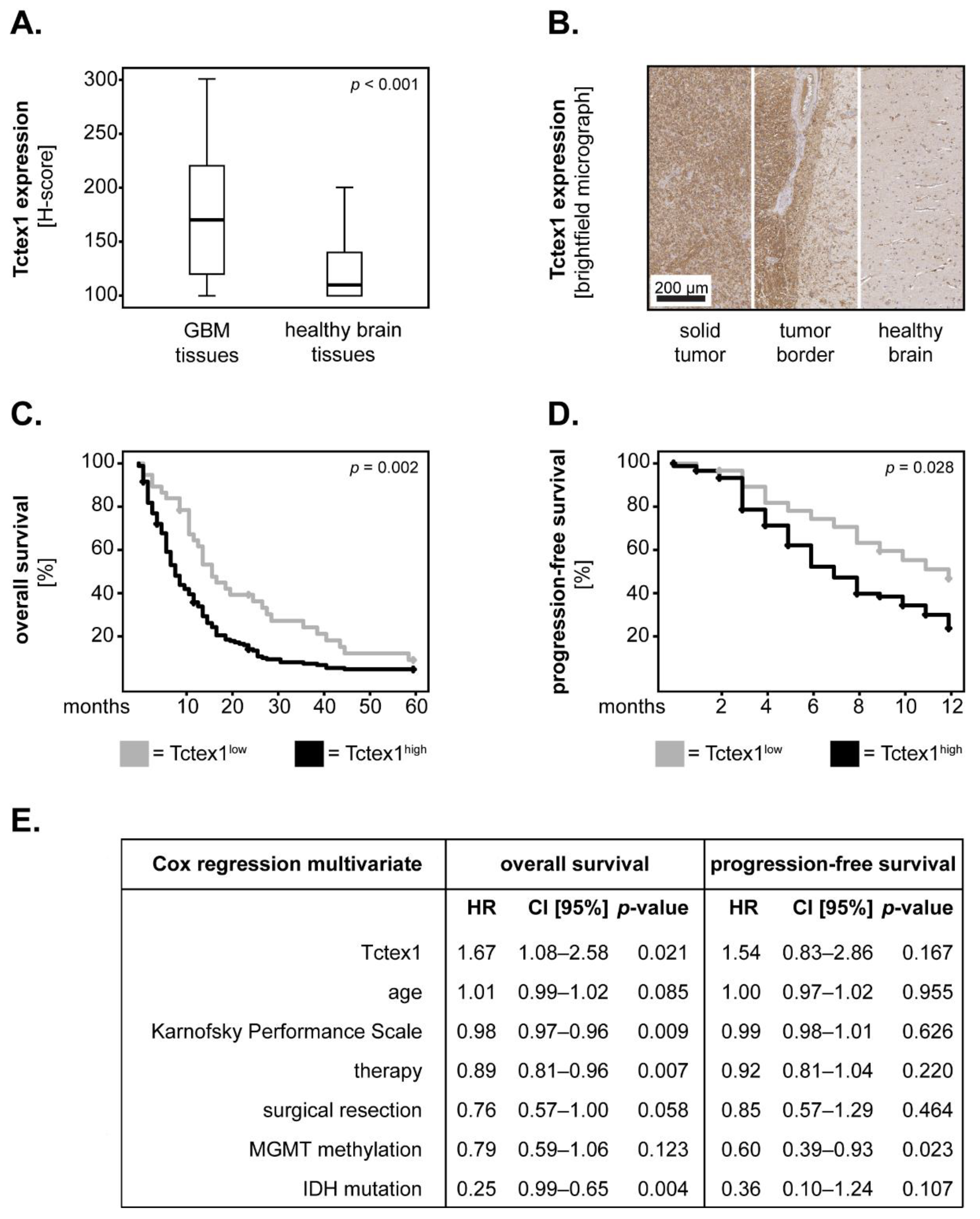 Cancers 13 02624 g002