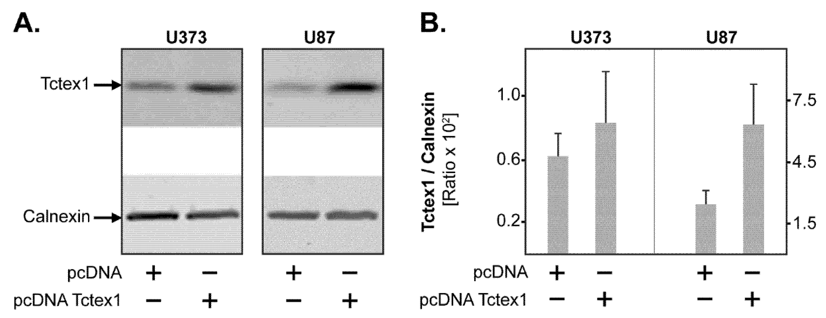 Cancers 13 02624 g003