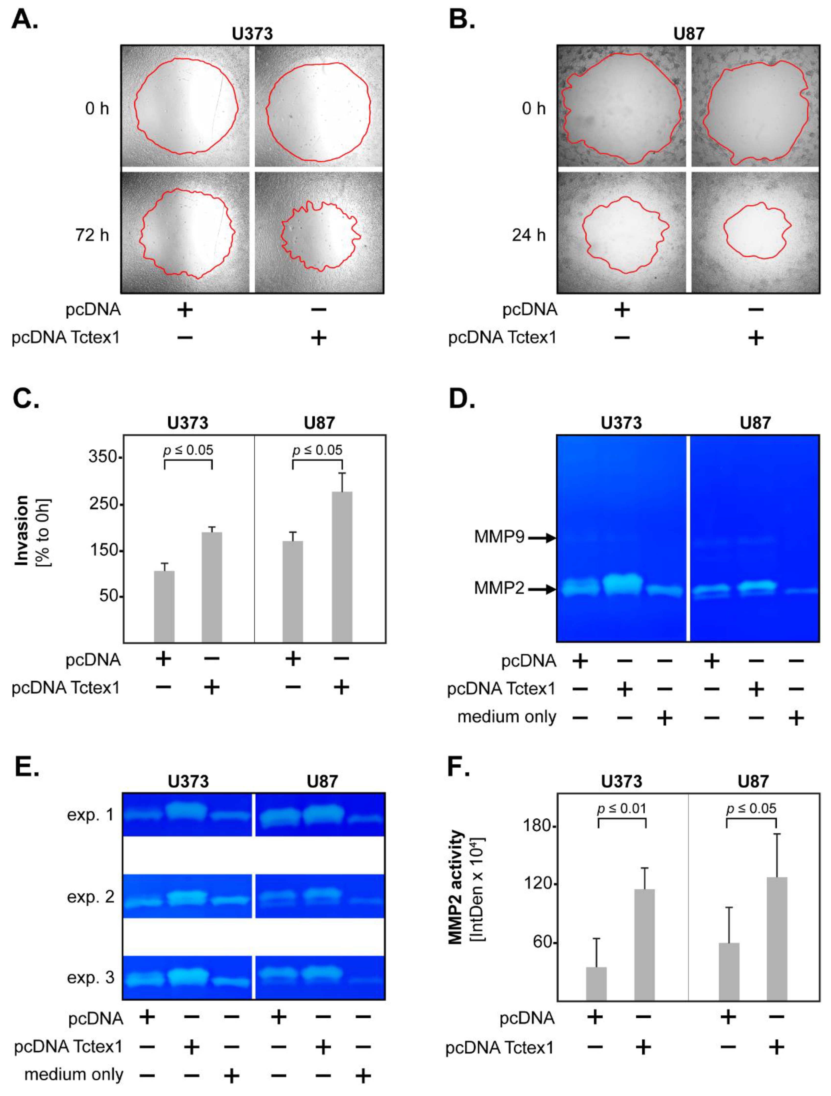 Cancers 13 02624 g006