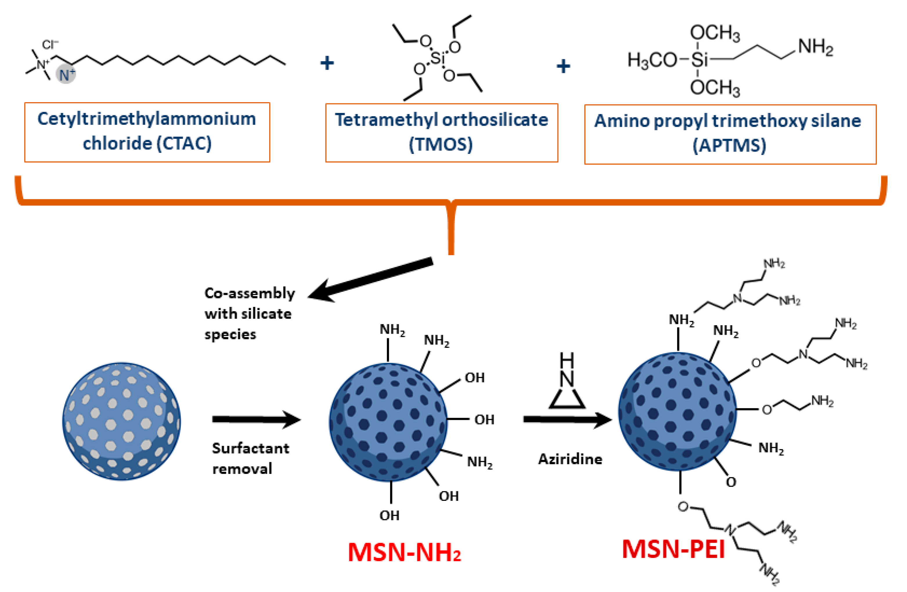 Cancers 13 02631 g001 Cancers 13 02631 g001