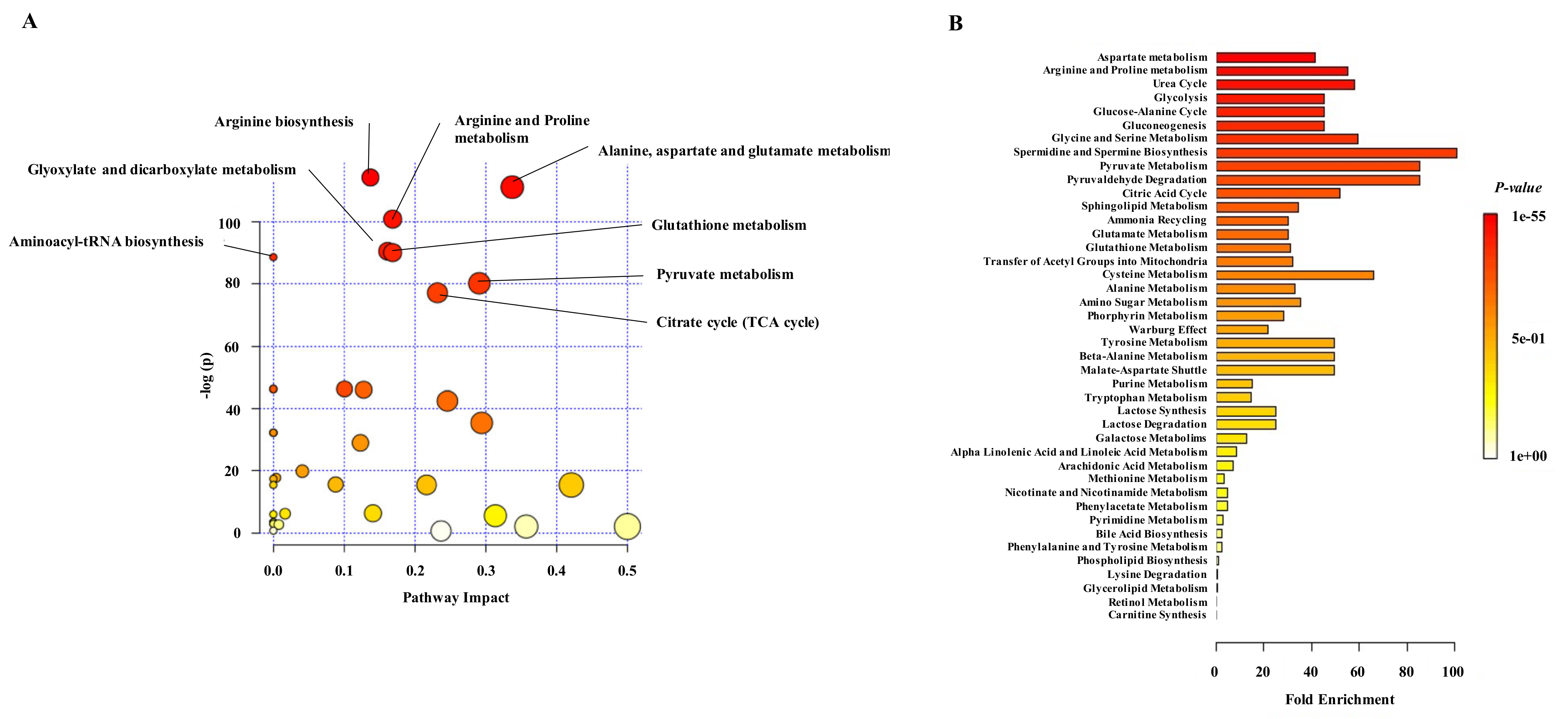 Cancers 13 02634 g005