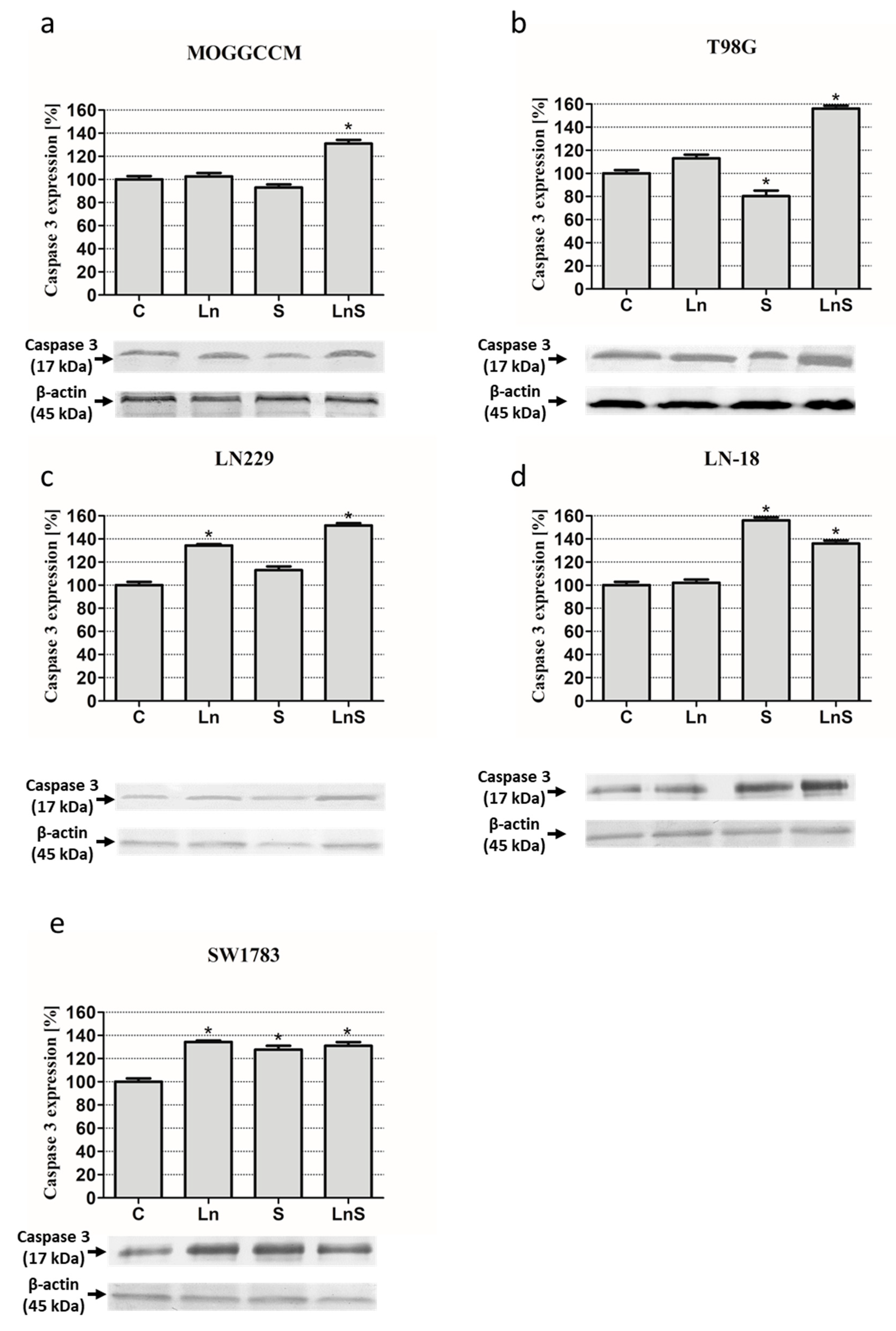 Cancers 13 02637 g006 Cancers 13 02637 g006