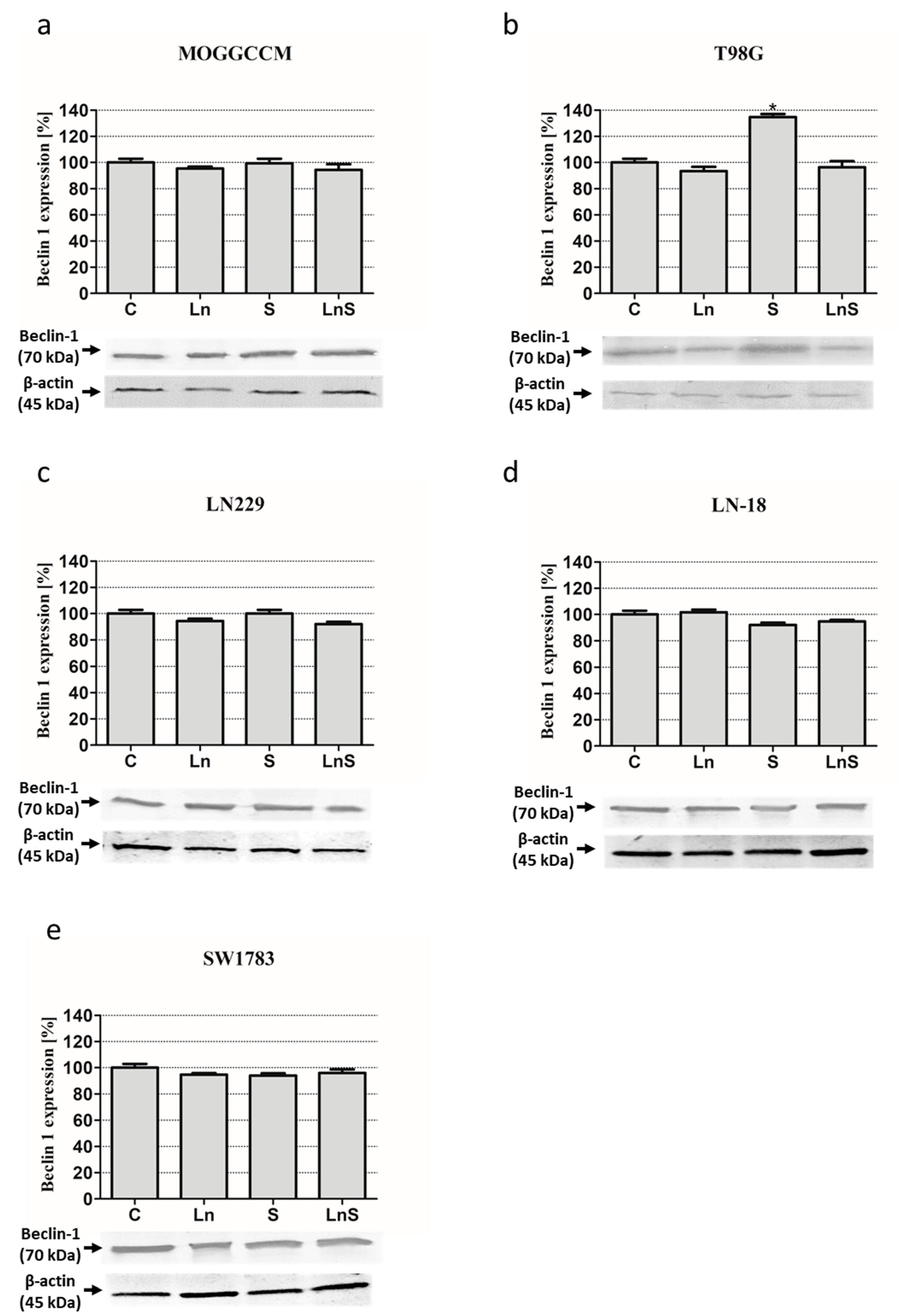 Cancers 13 02637 g007 Cancers 13 02637 g007