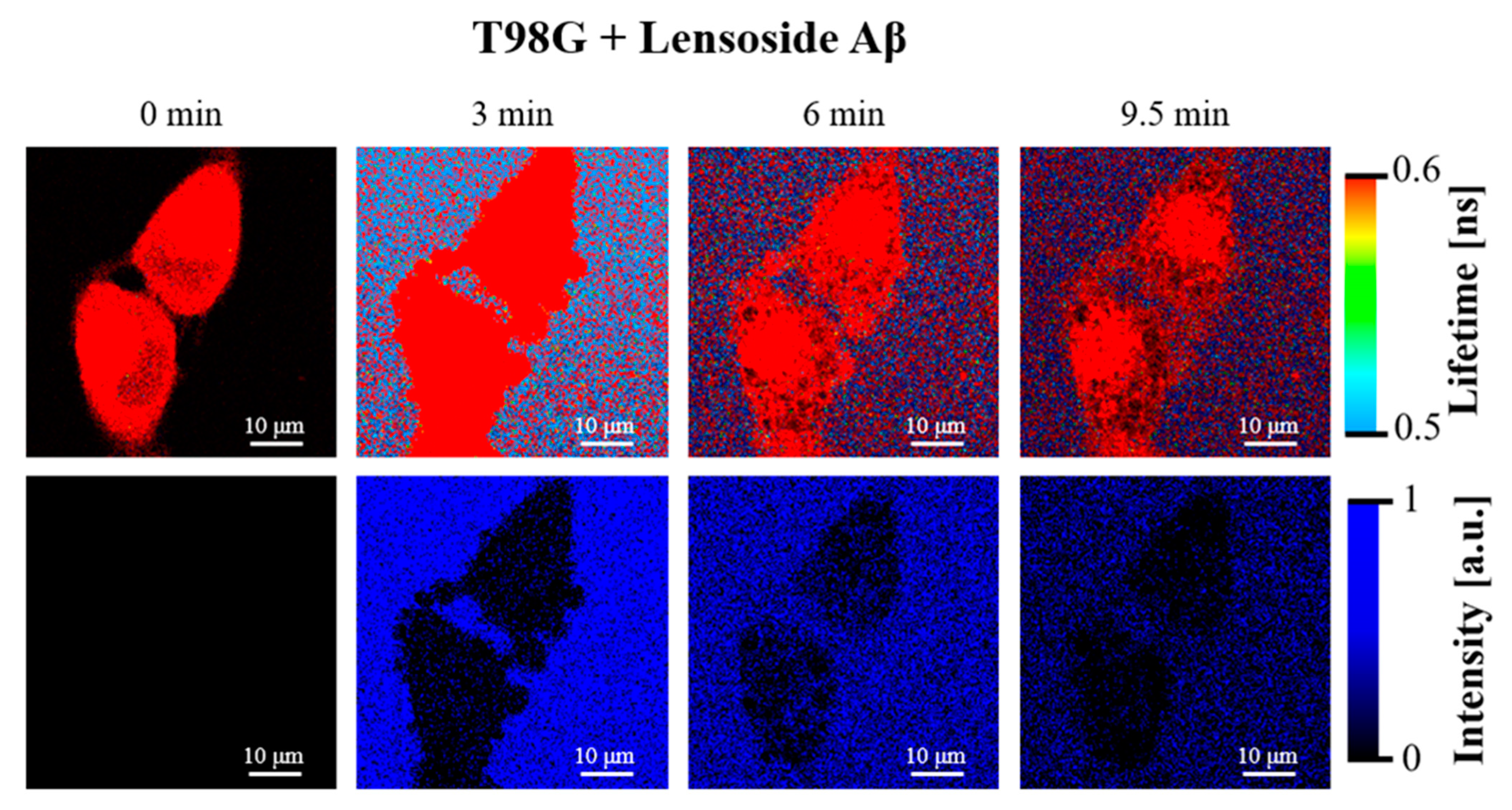Cancers 13 02637 g013 Cancers 13 02637 g013