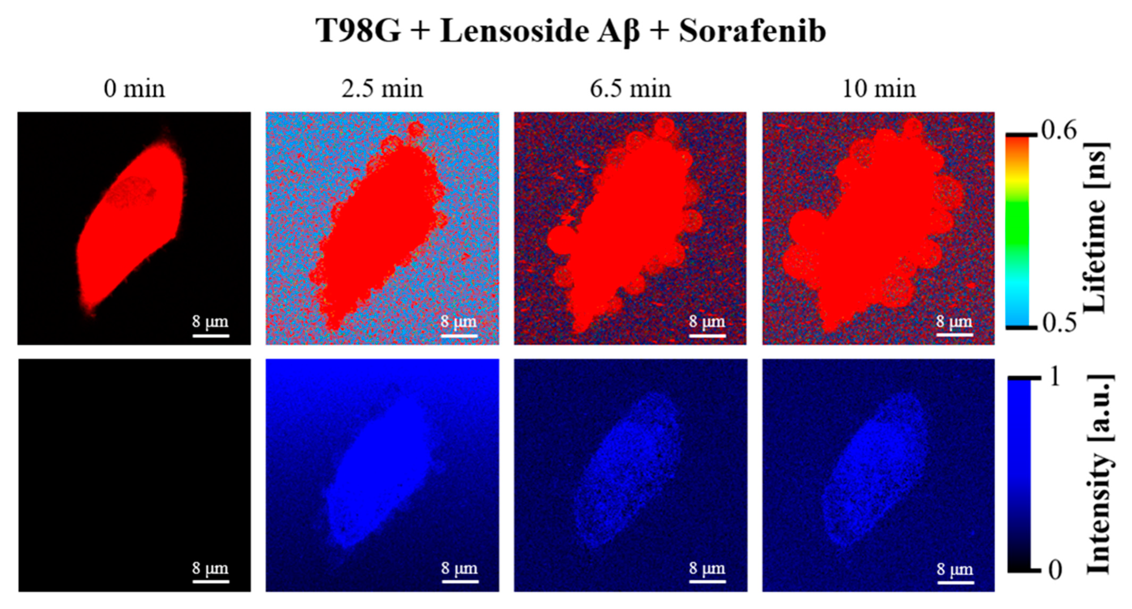 Cancers 13 02637 g014 Cancers 13 02637 g014