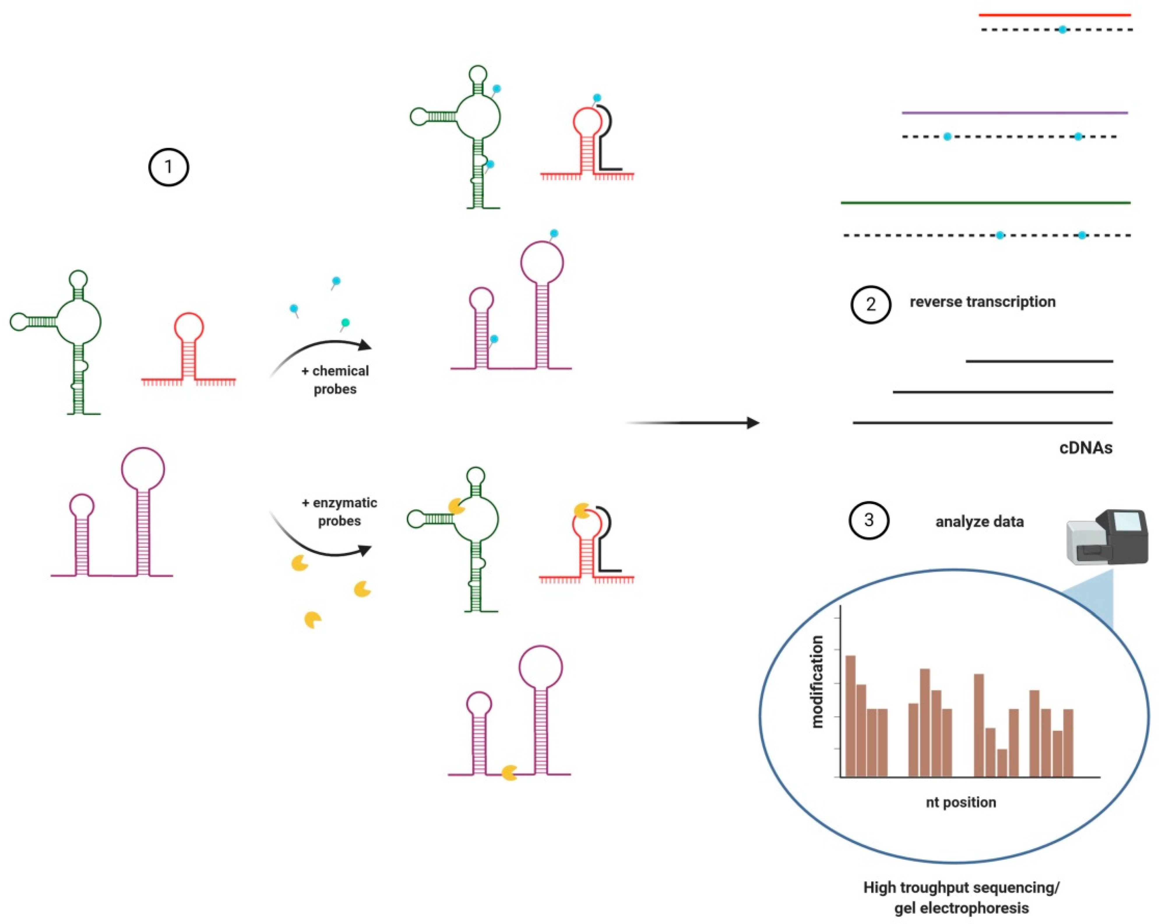 Cancers 13 02643 g001