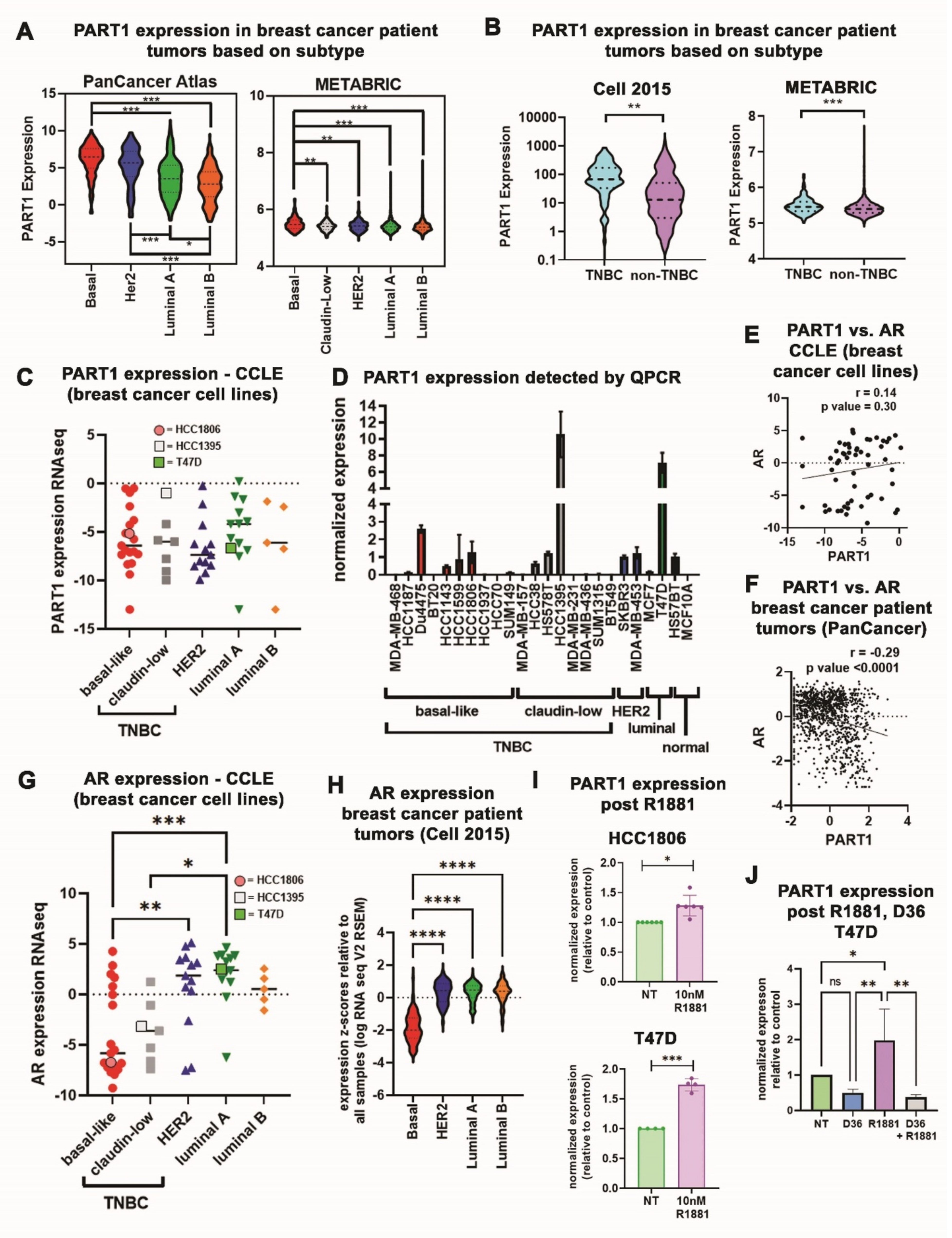 Cancers 13 02644 g001