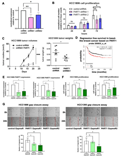 LncRNA PART1 Promotes Proliferation and Migration, Is Associated with ...