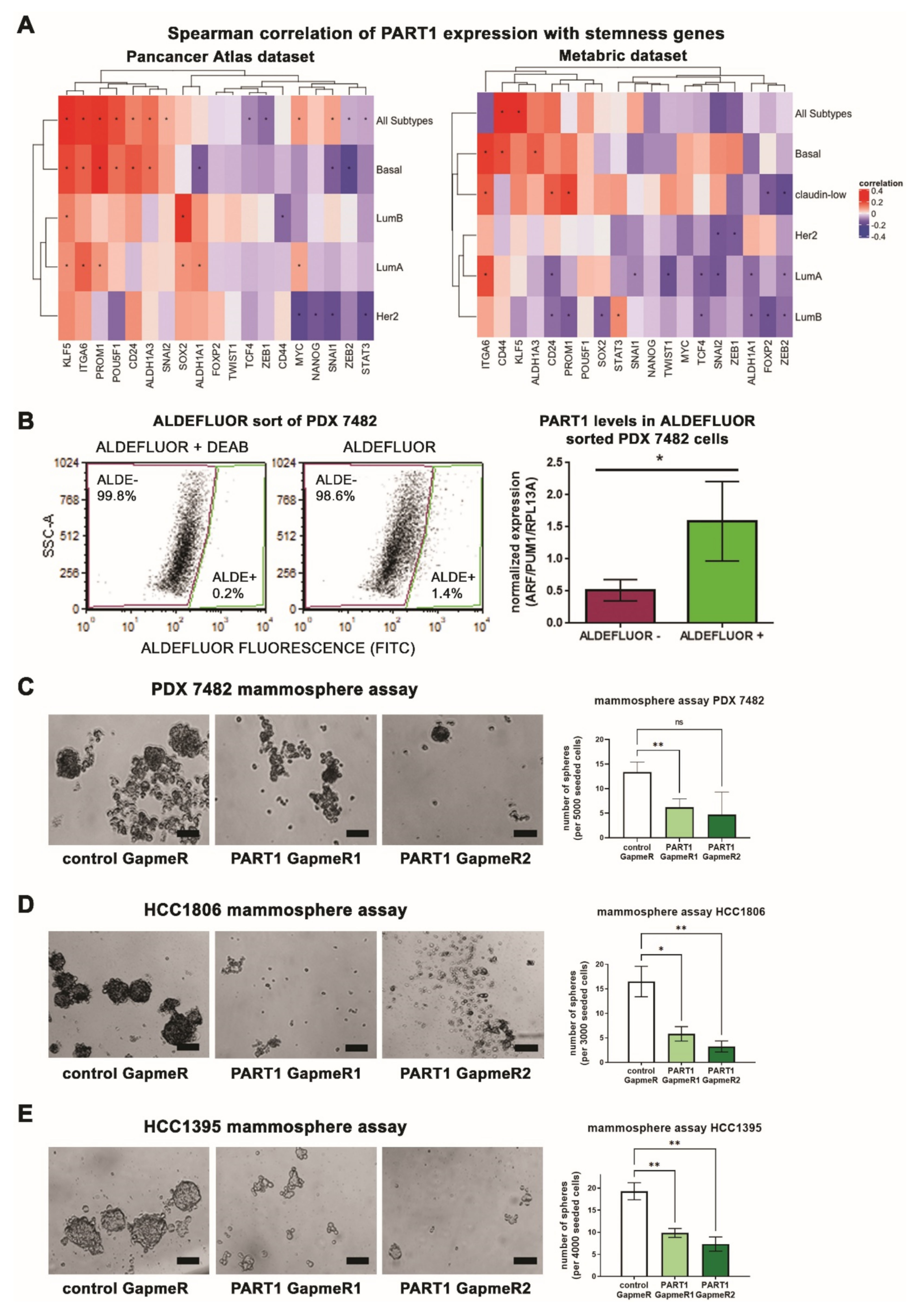 Cancers 13 02644 g003