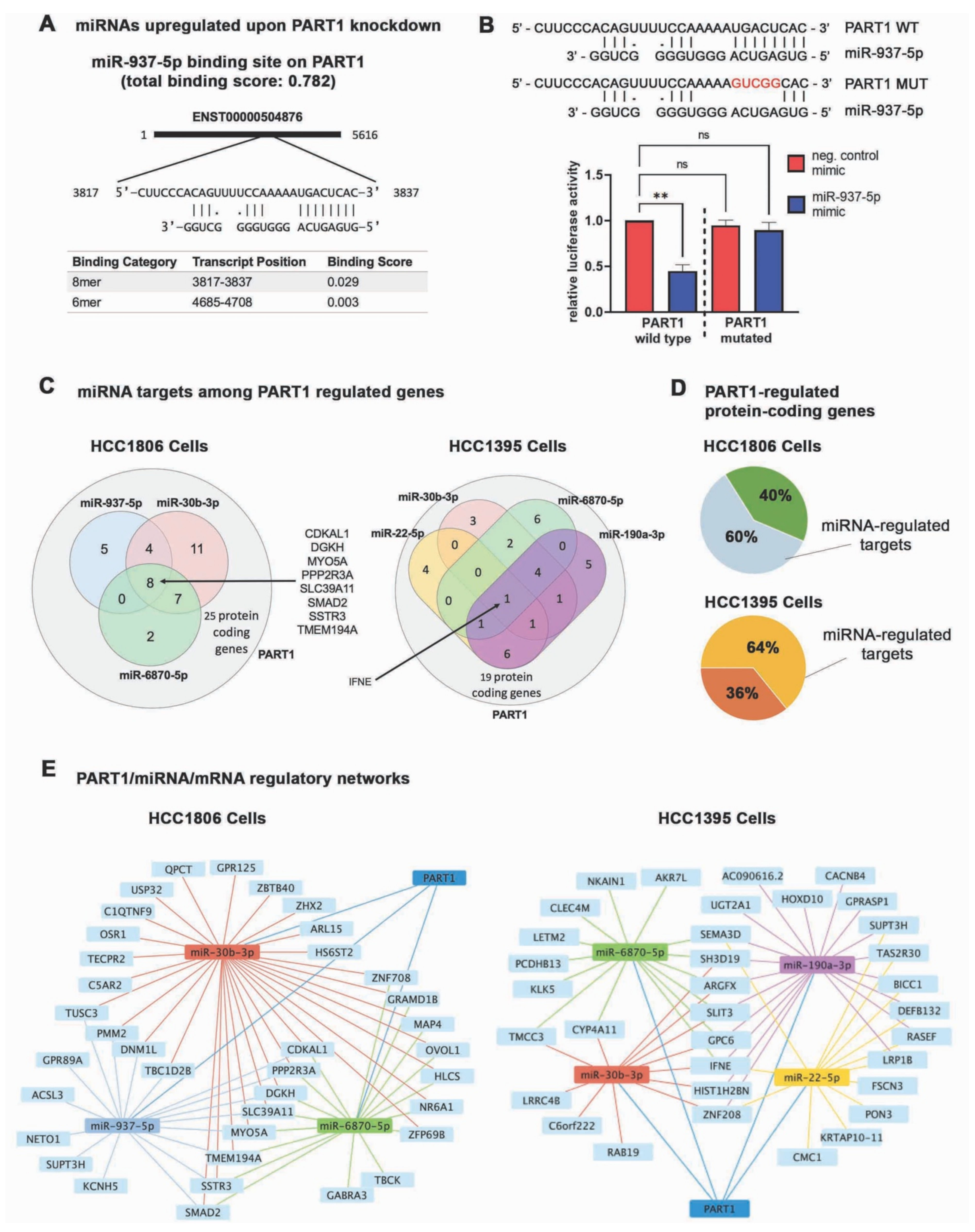 Cancers 13 02644 g006