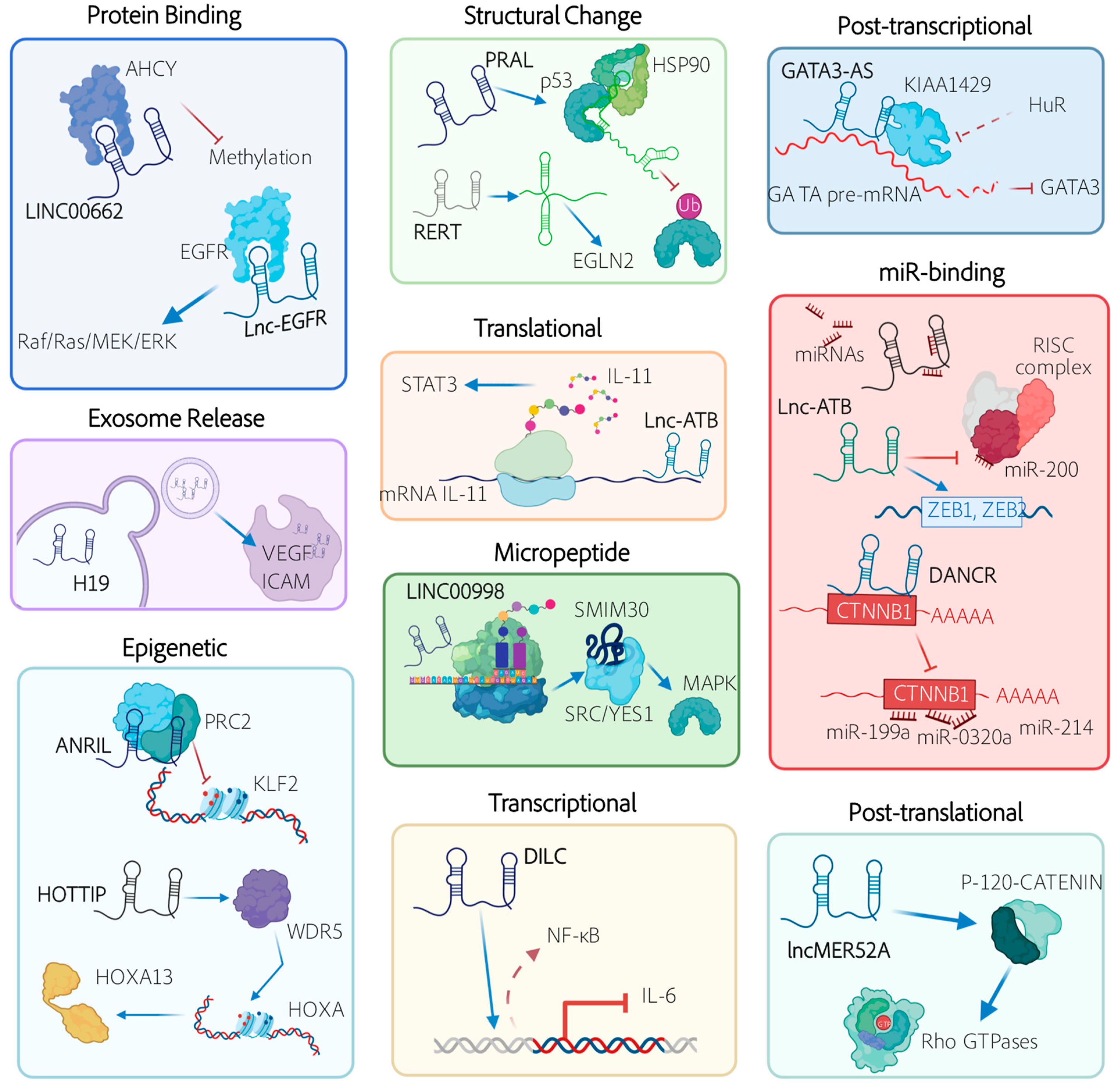 Cancers 13 02651 g001