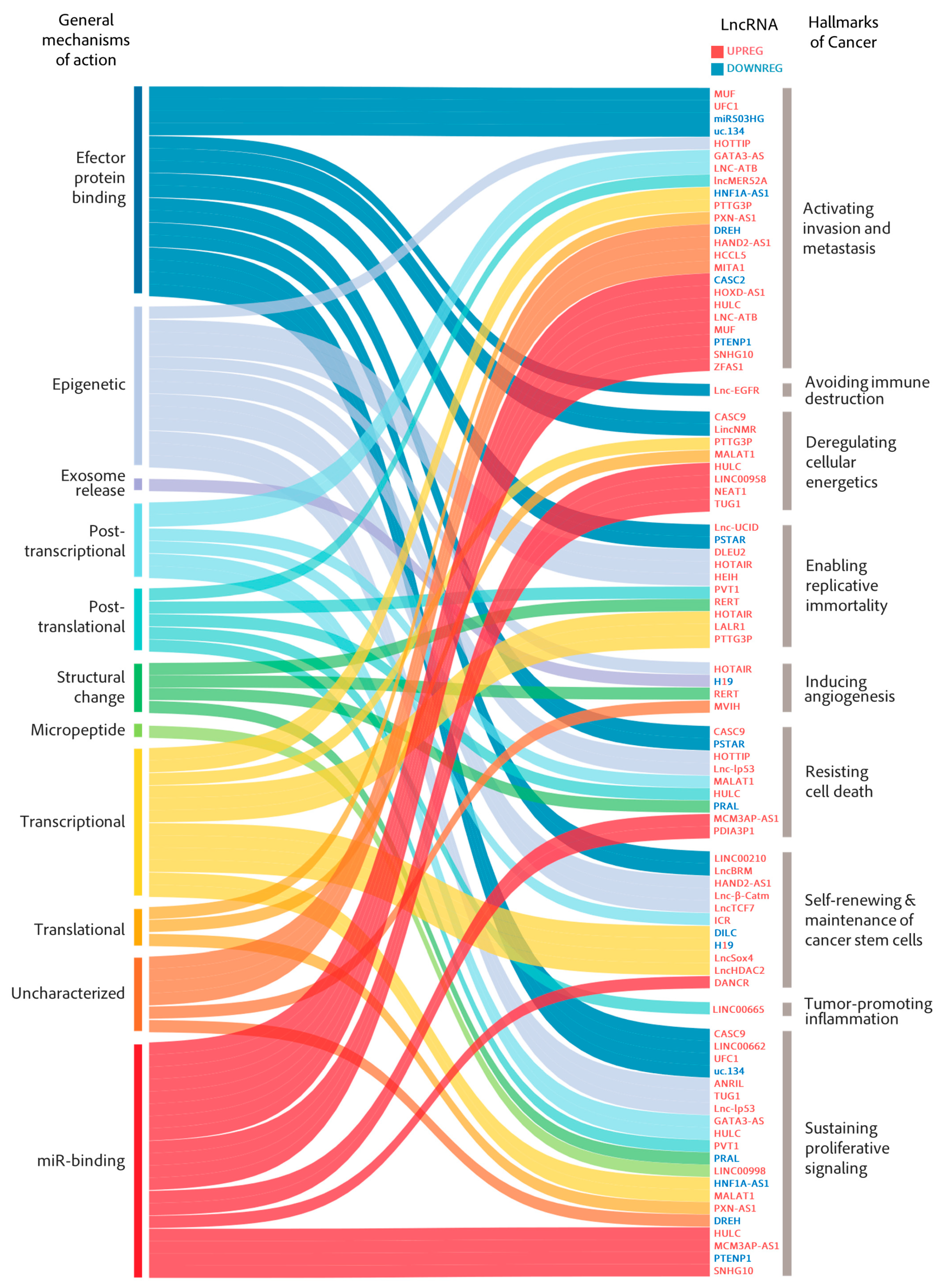 Cancers 13 02651 g002