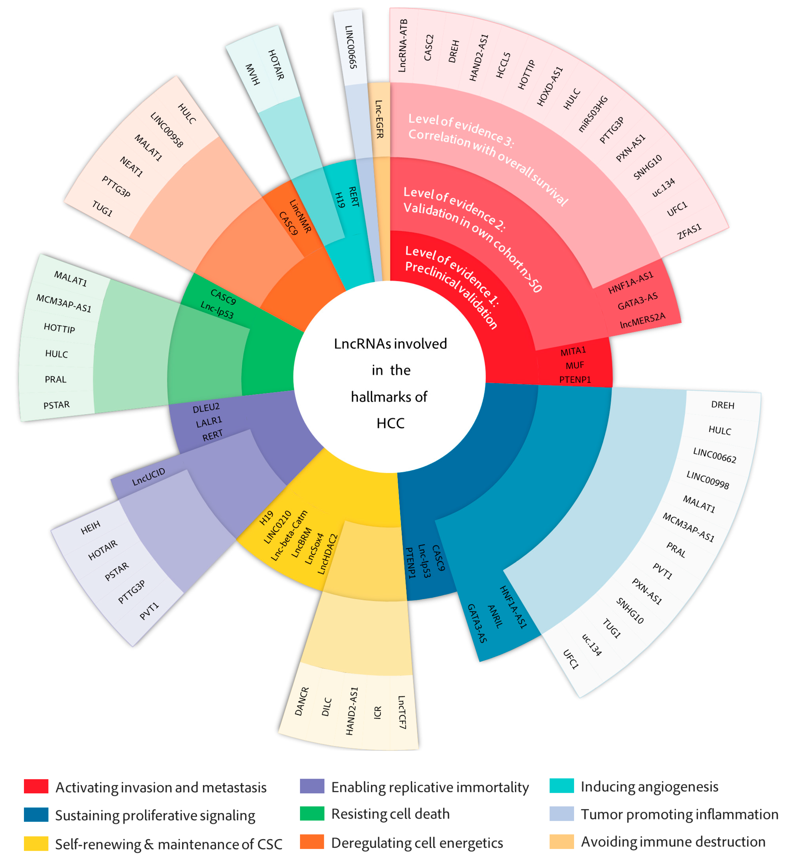 Cancers 13 02651 g003