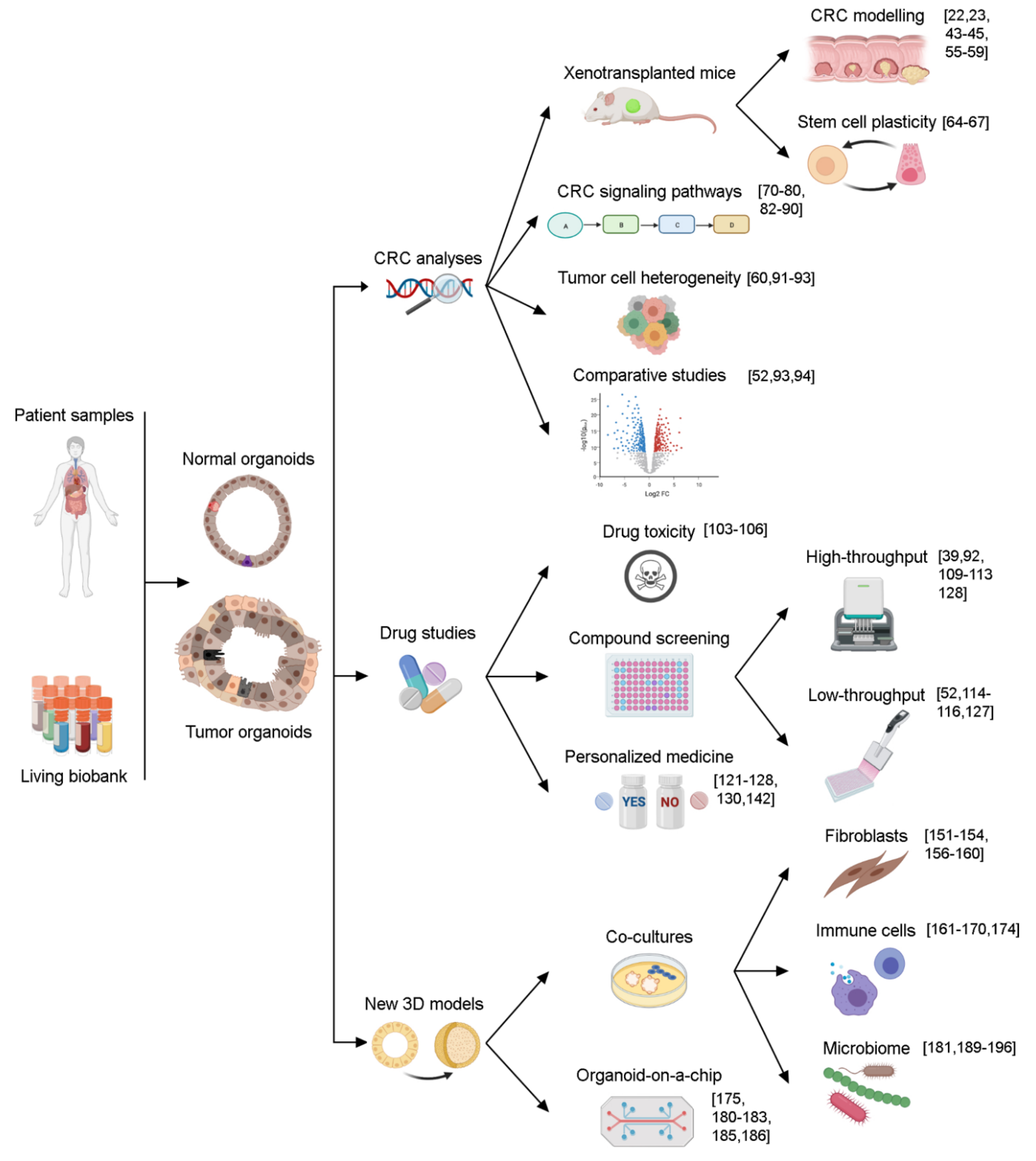 Cancers 13 02657 g002