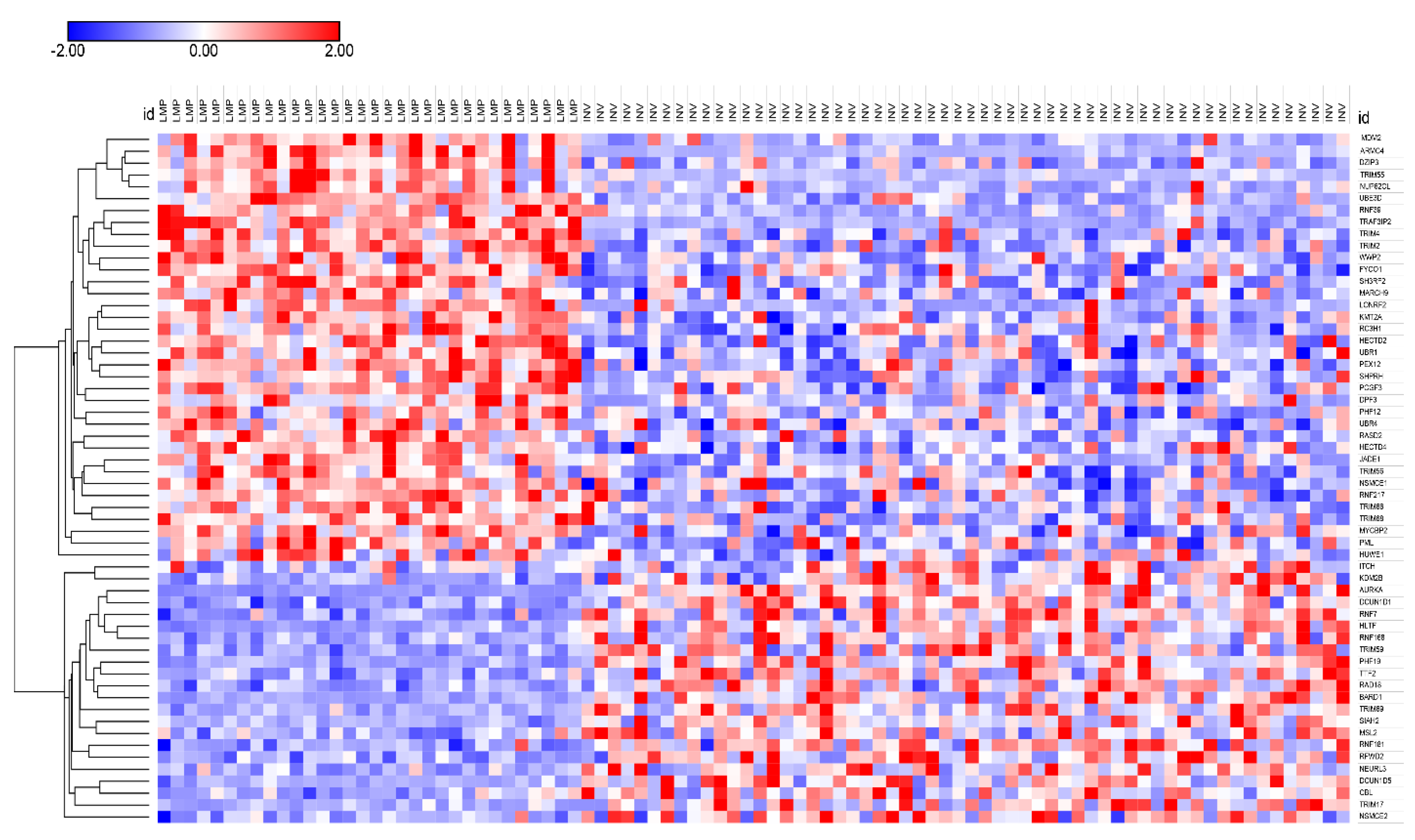 Cancers 13 02659 g004 Cancers 13 02659 g004