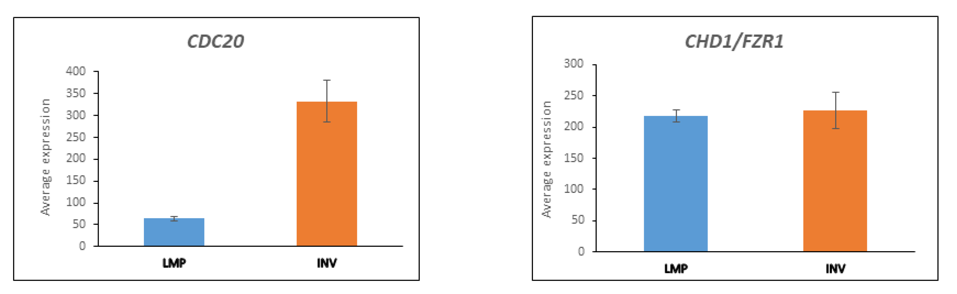 Cancers 13 02659 g006 Cancers 13 02659 g006