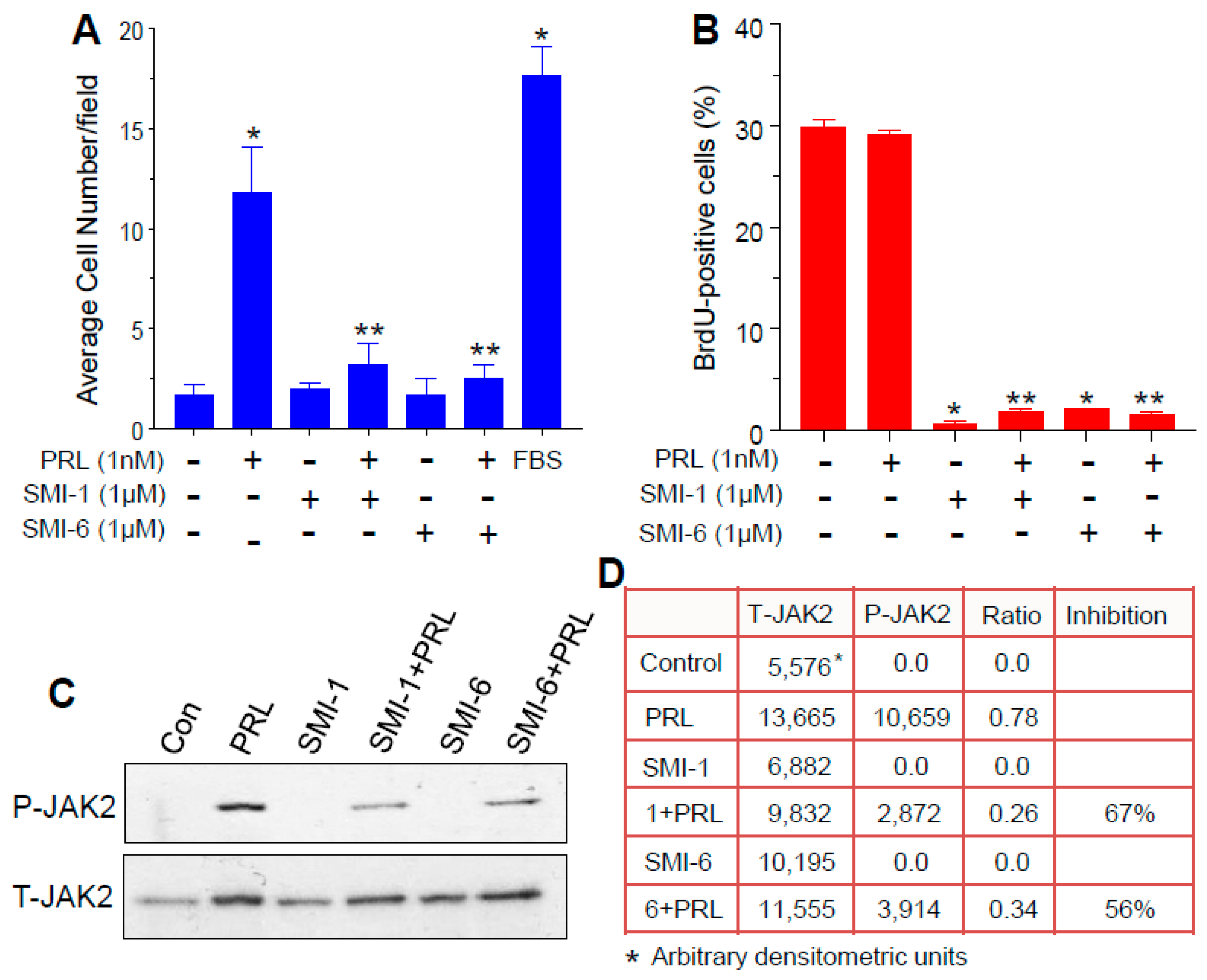 Cancers 13 02662 g003