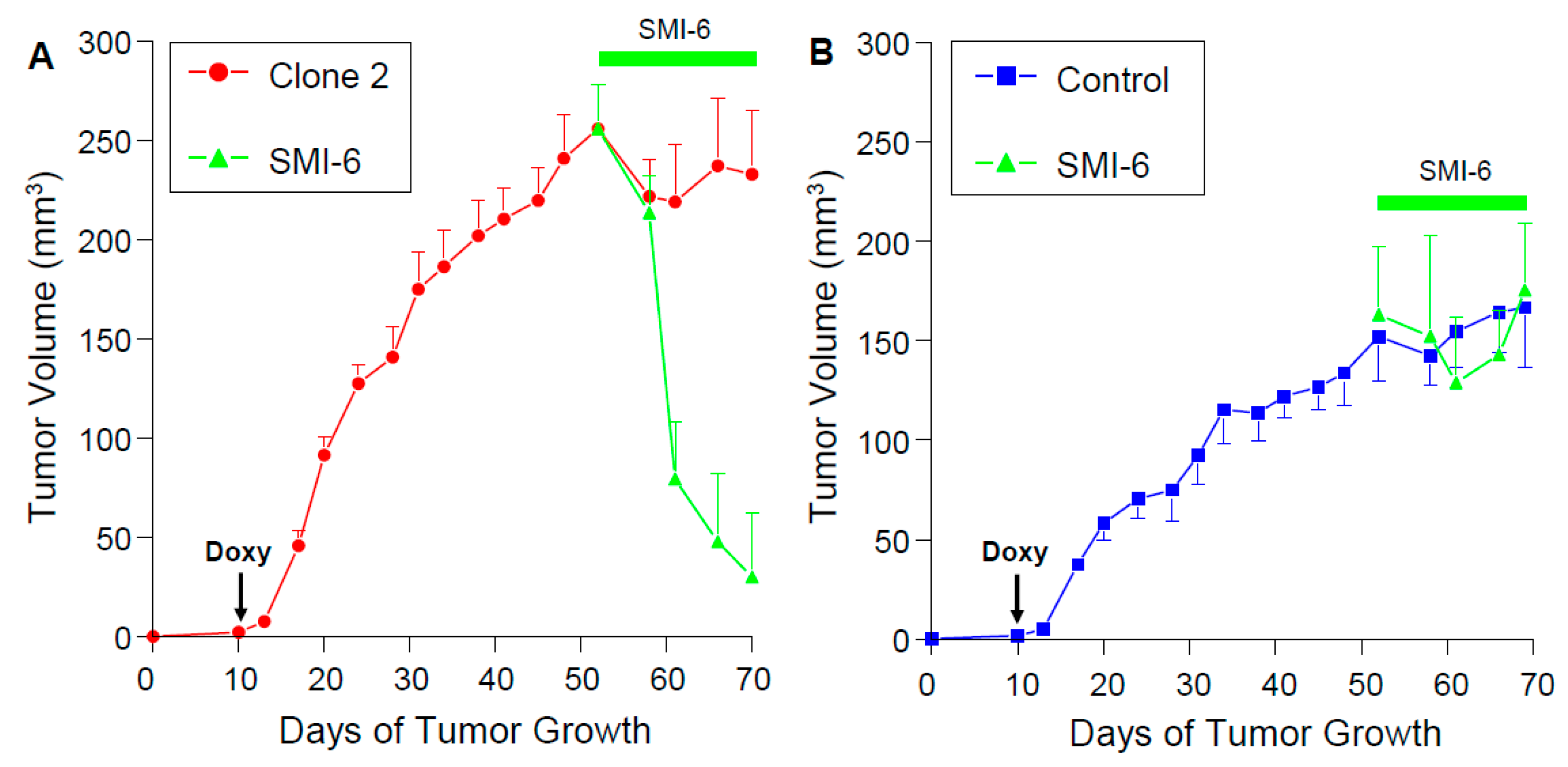 Cancers 13 02662 g008