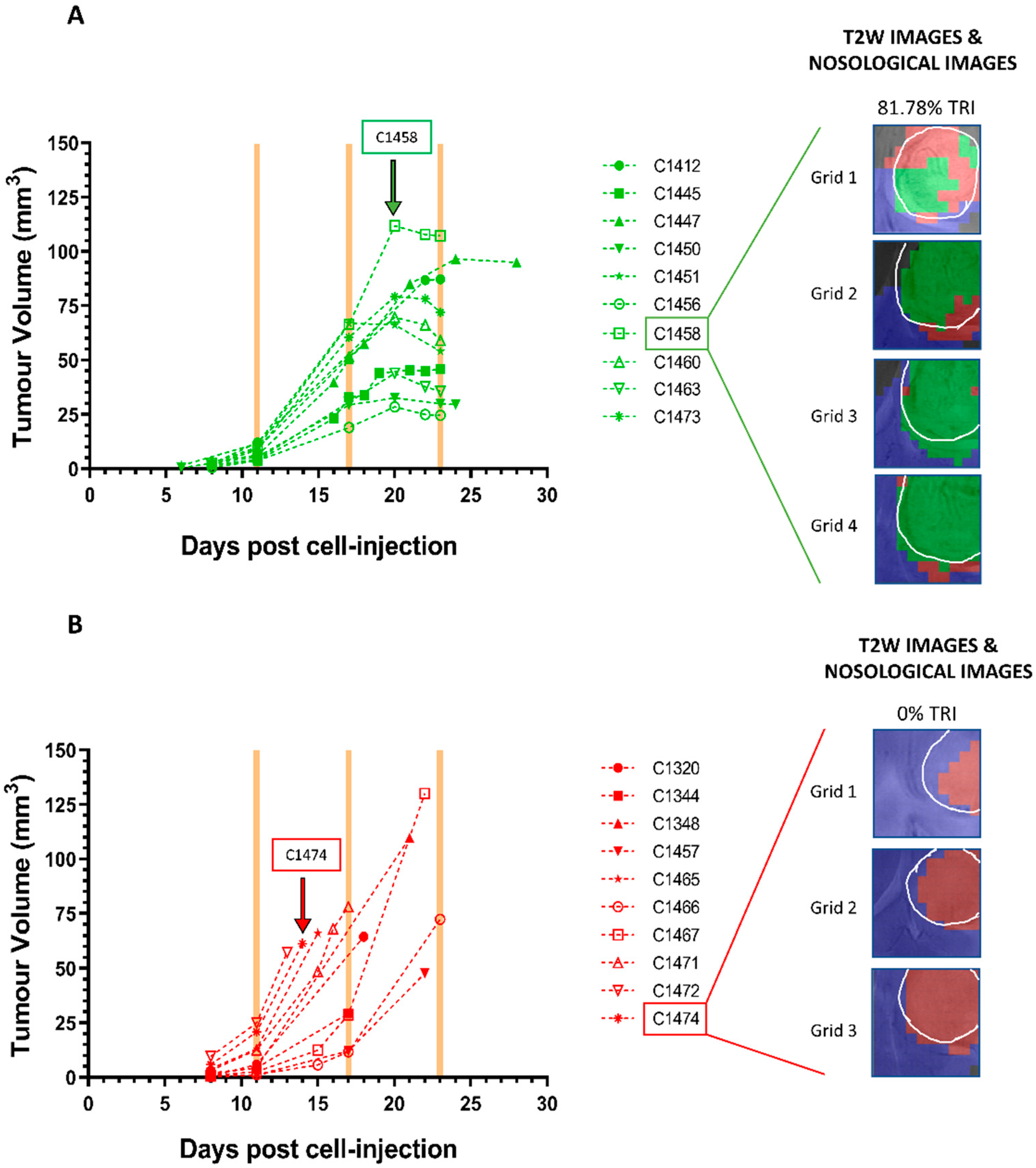 Cancers 13 02663 g001 Cancers 13 02663 g001