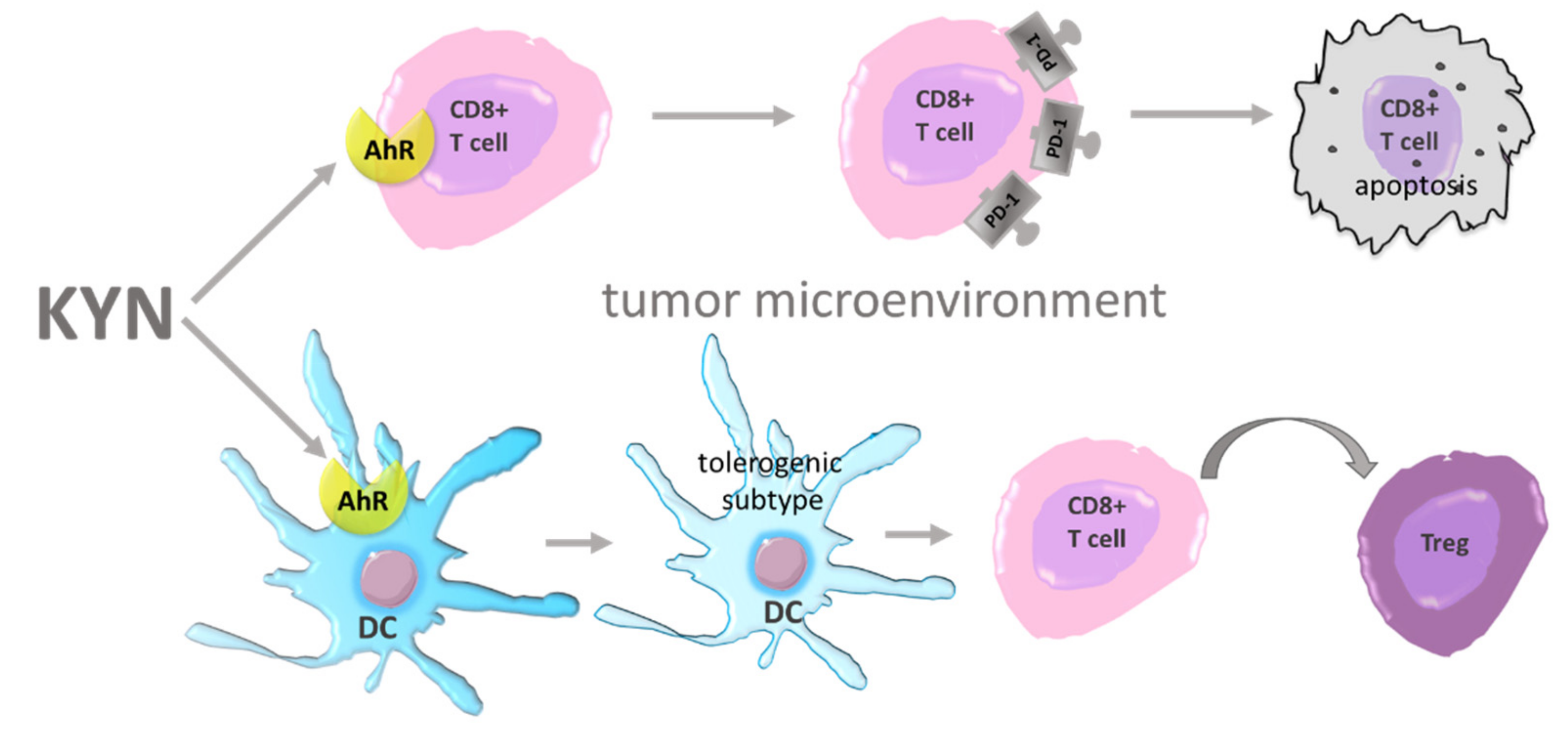 Cancers 13 02667 g004