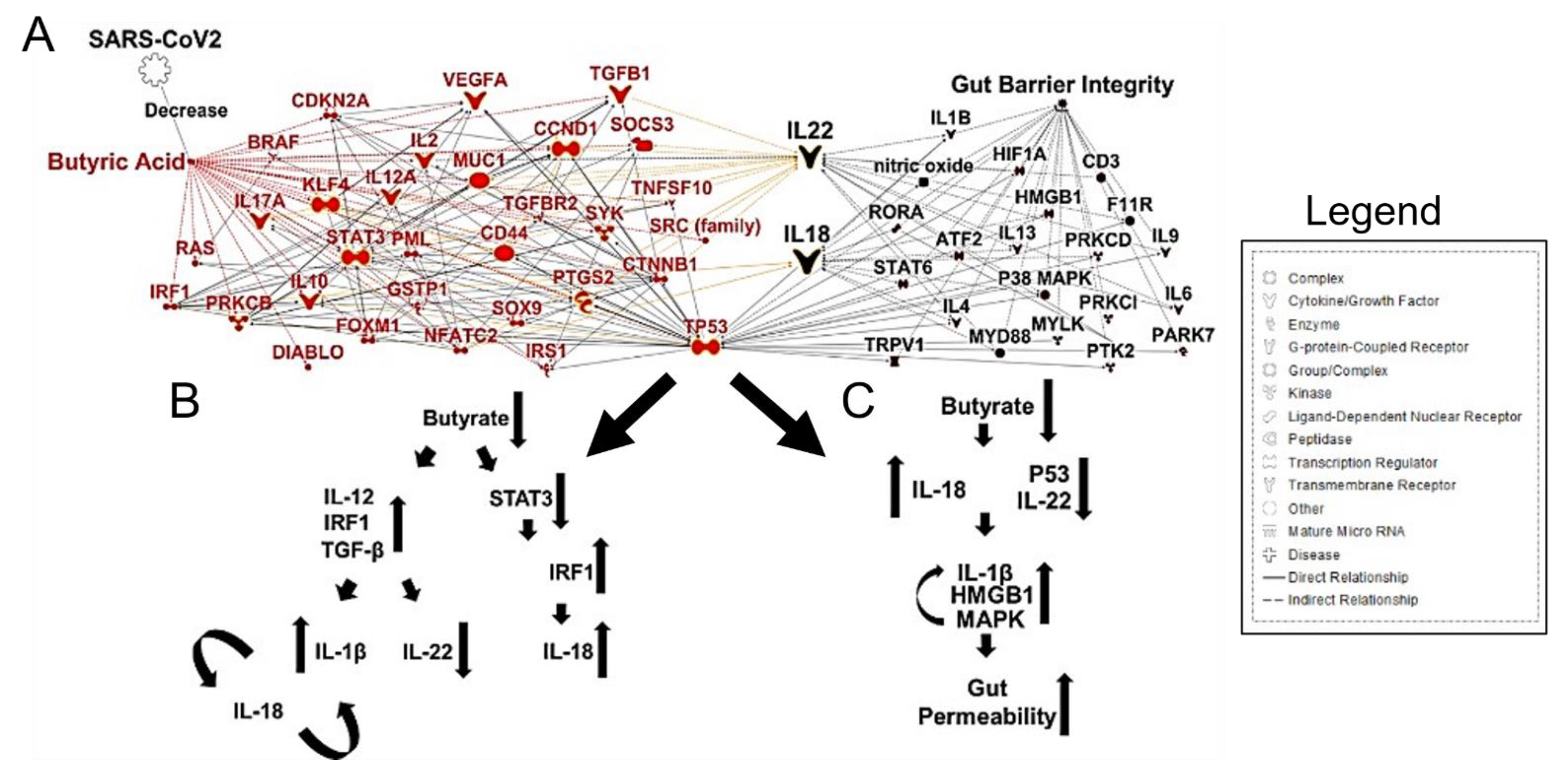 Cancers 13 02676 g003