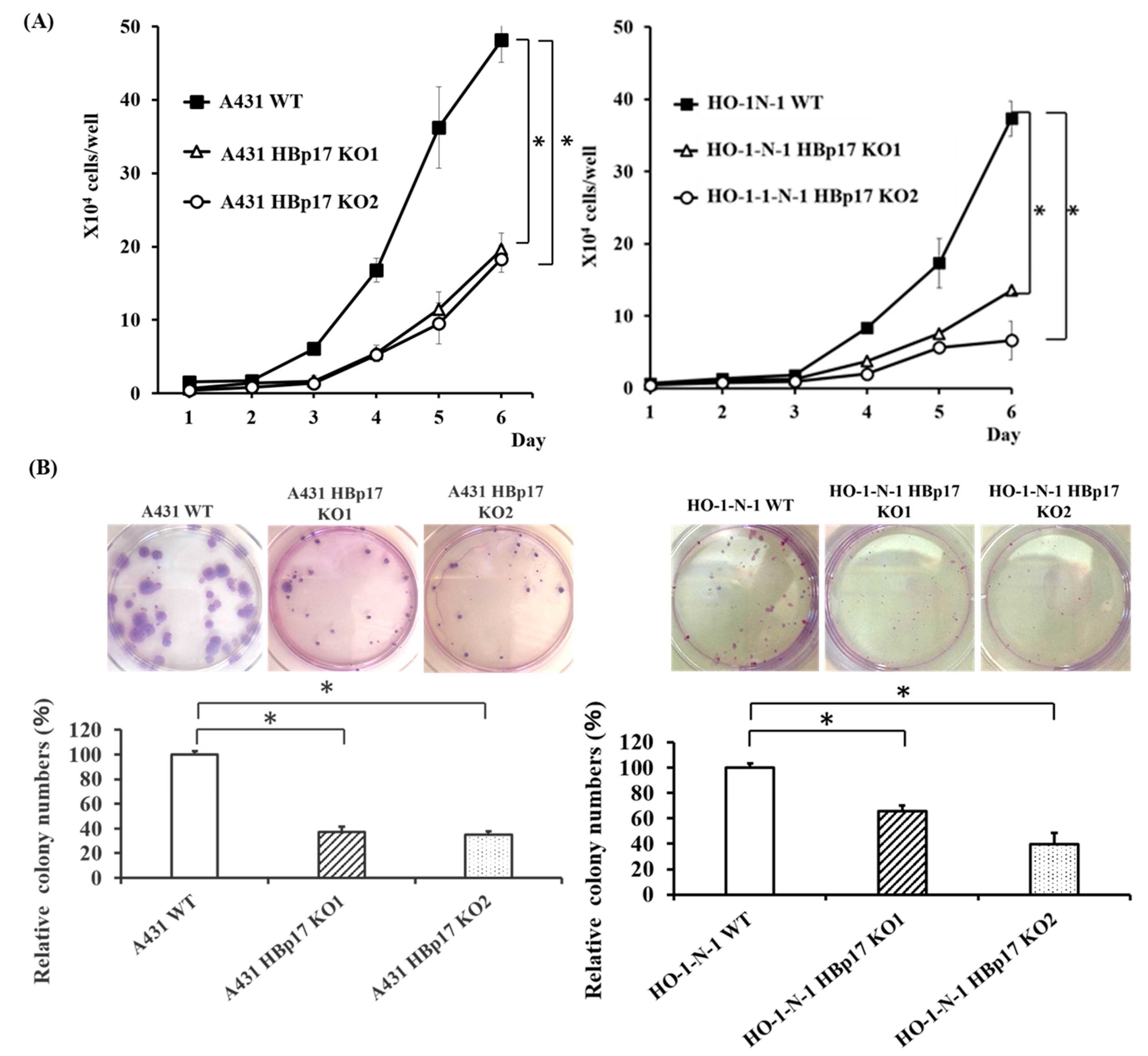 Cancers 13 02684 g003 Cancers 13 02684 g003