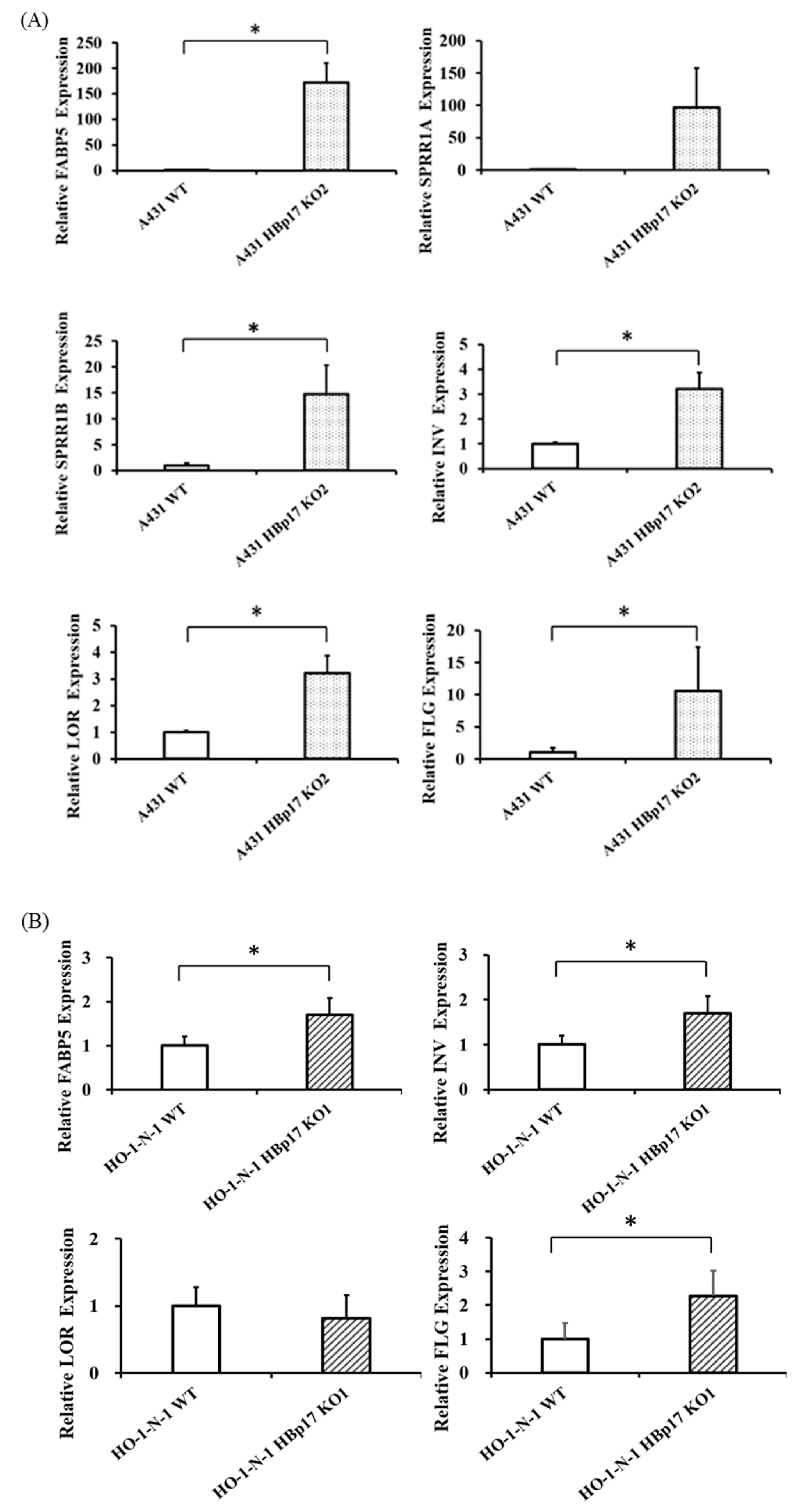 Cancers 13 02684 g007a Cancers 13 02684 g007a