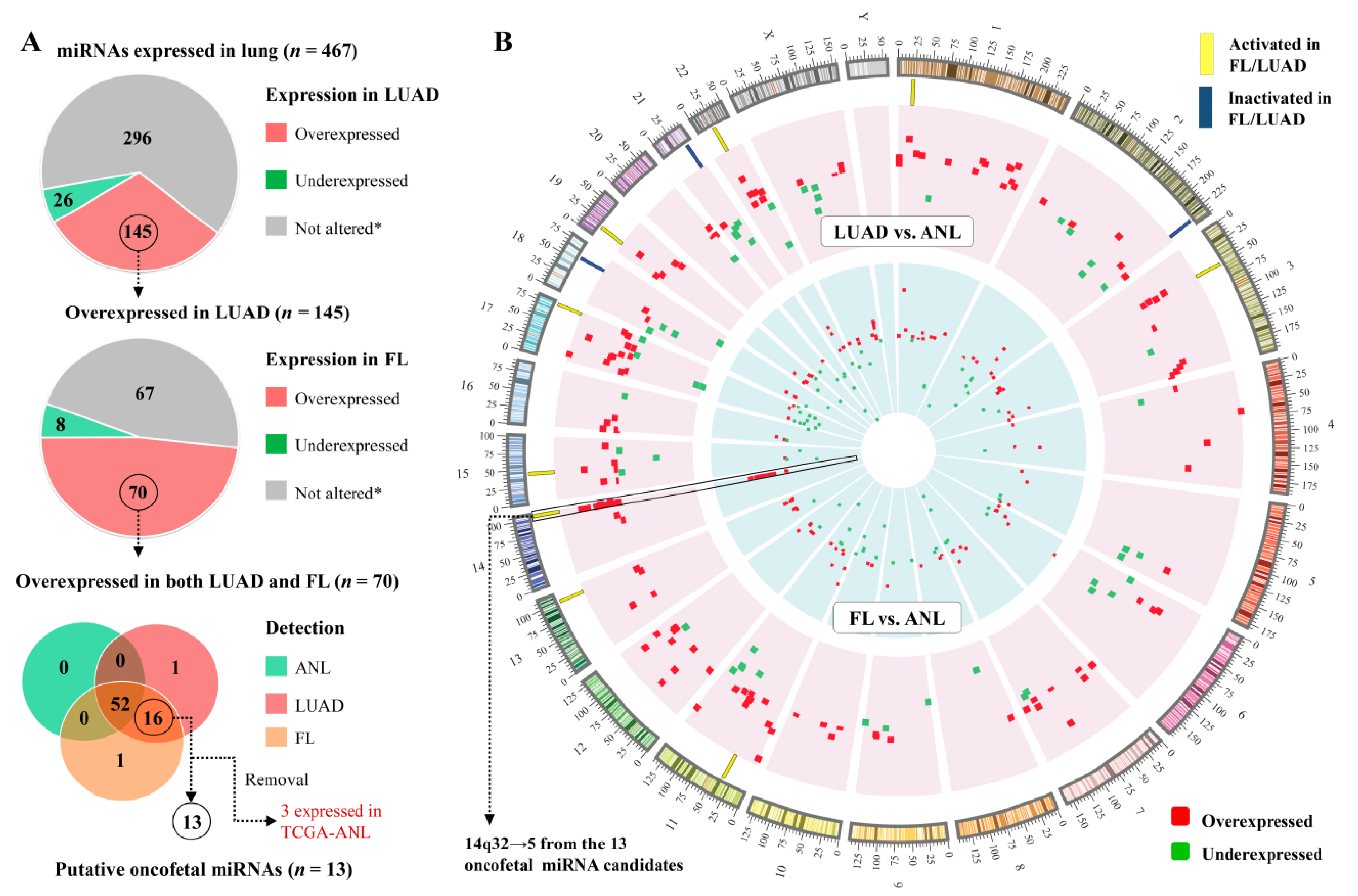 Reactivation of Multiple Fetal miRNAs in Lung Adenocarcinoma