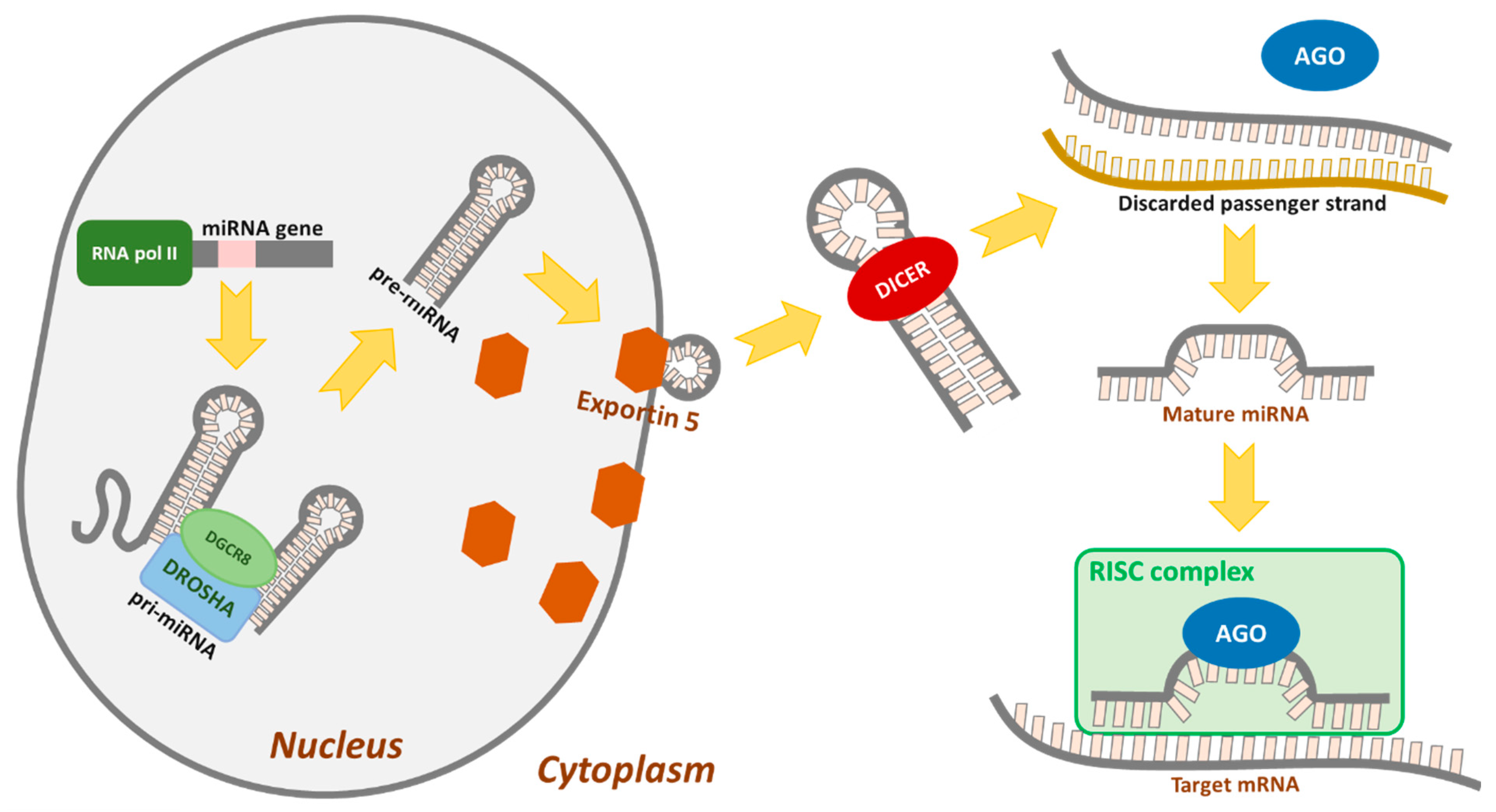 Cancers 13 02690 g001