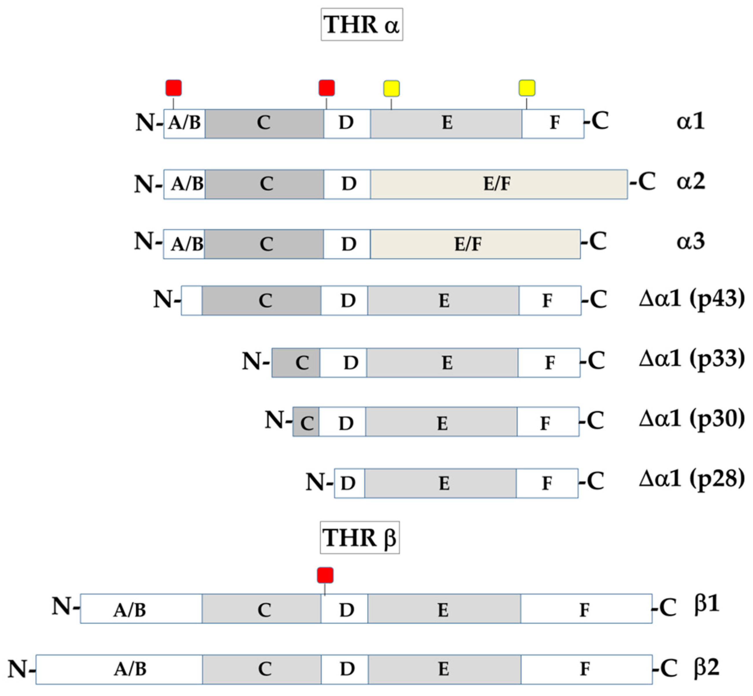 Cancers 13 02693 g001 Cancers 13 02693 g001