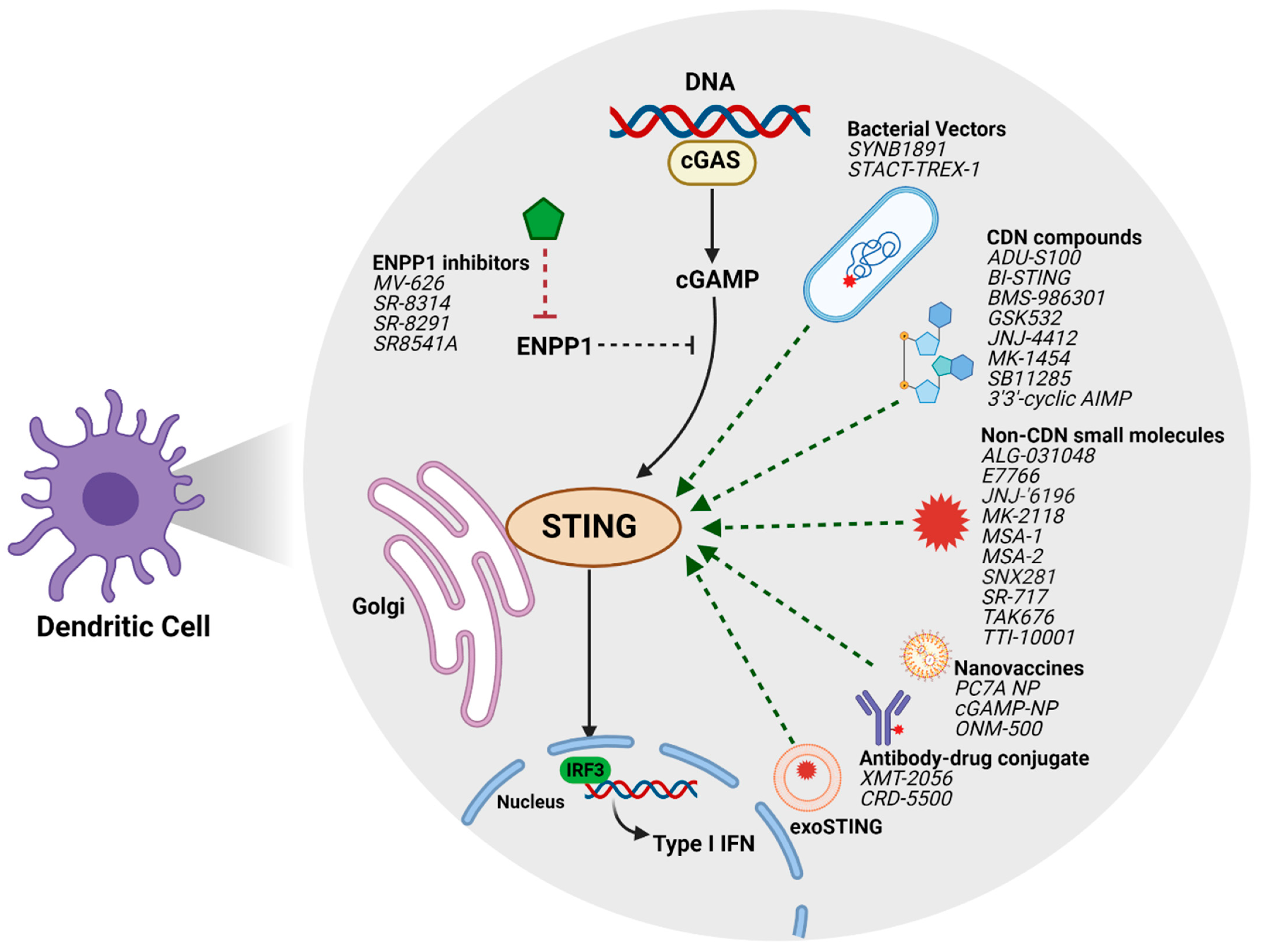 Cancers 13 02695 g001