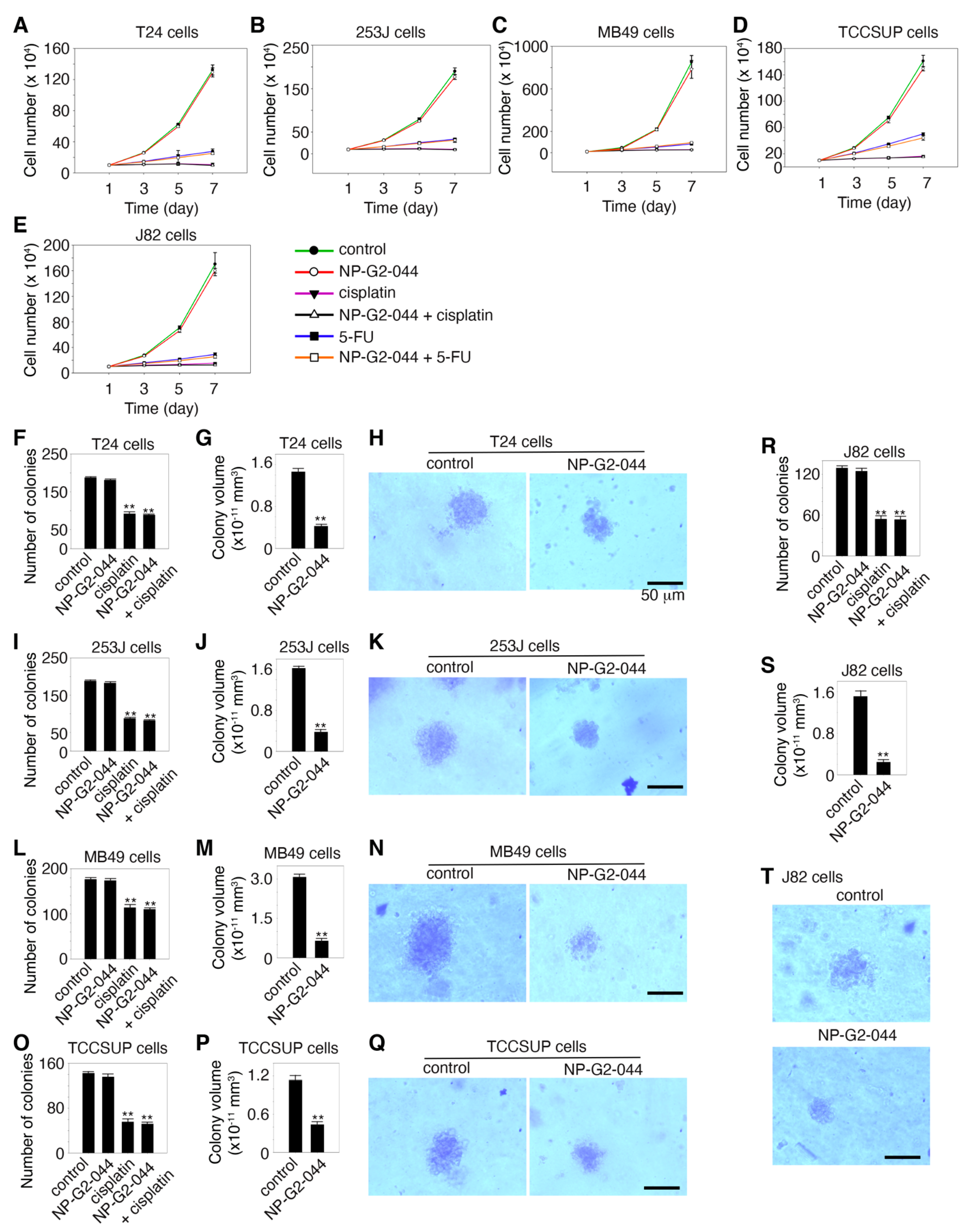Cancers 13 02698 g002 Cancers 13 02698 g002