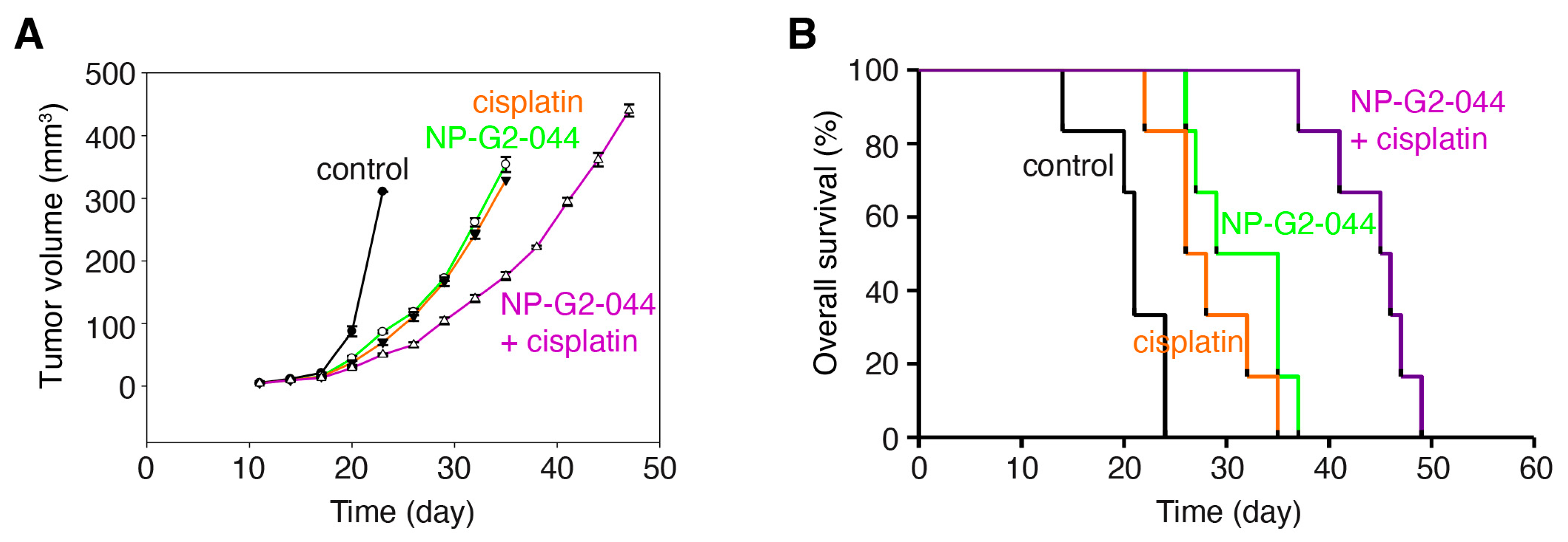 Cancers 13 02698 g004 Cancers 13 02698 g004