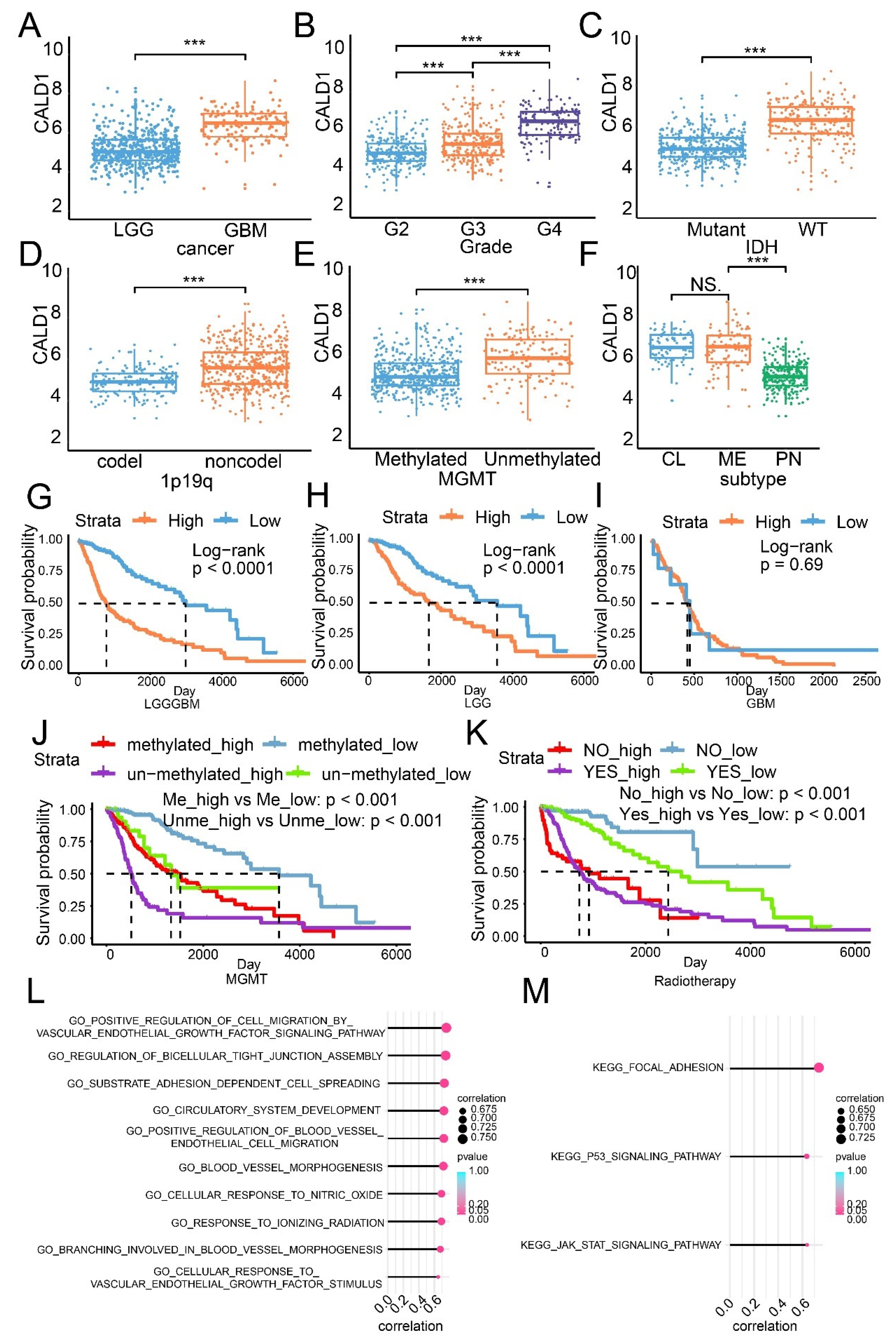 Cancers 13 02705 g001