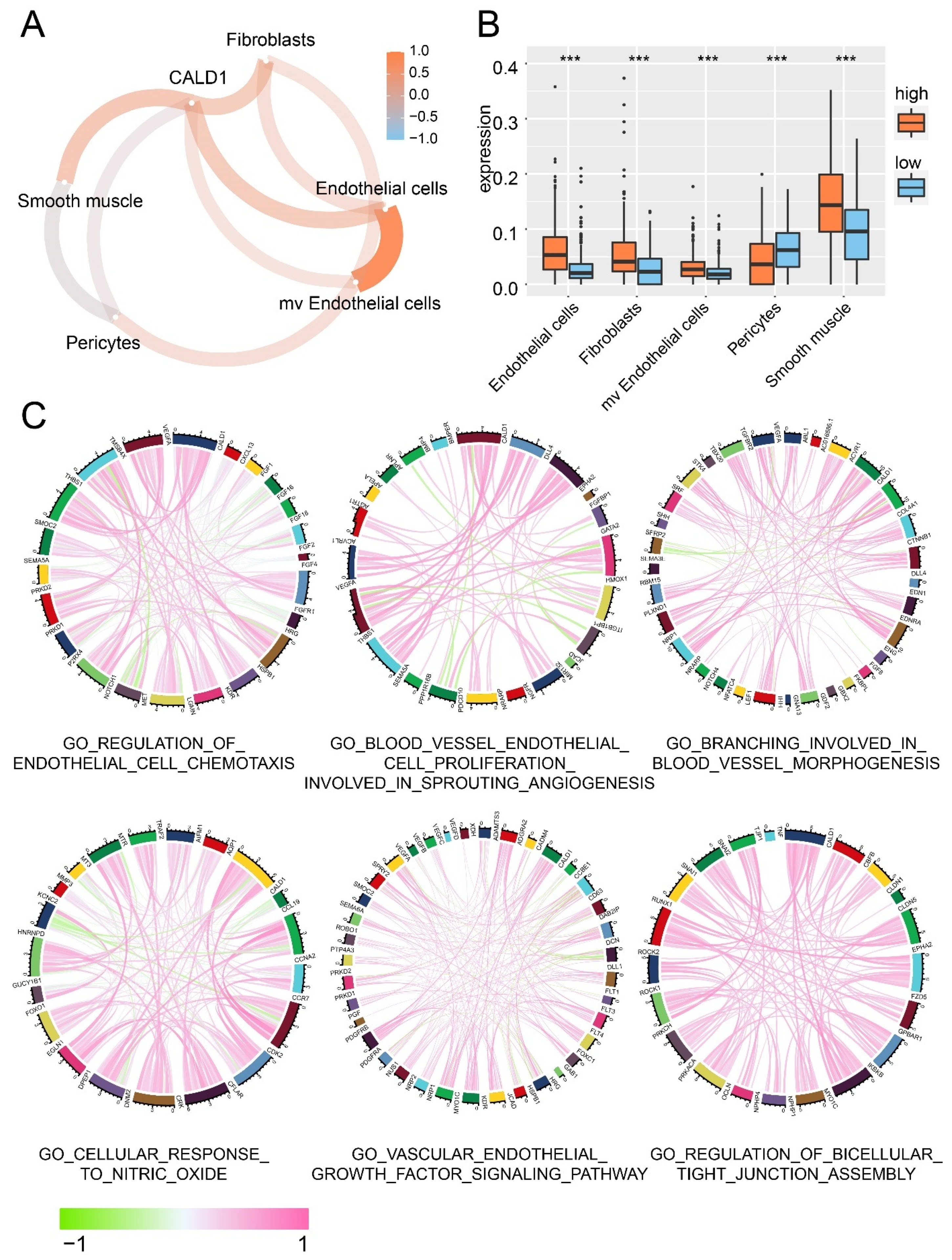 Cancers 13 02705 g002