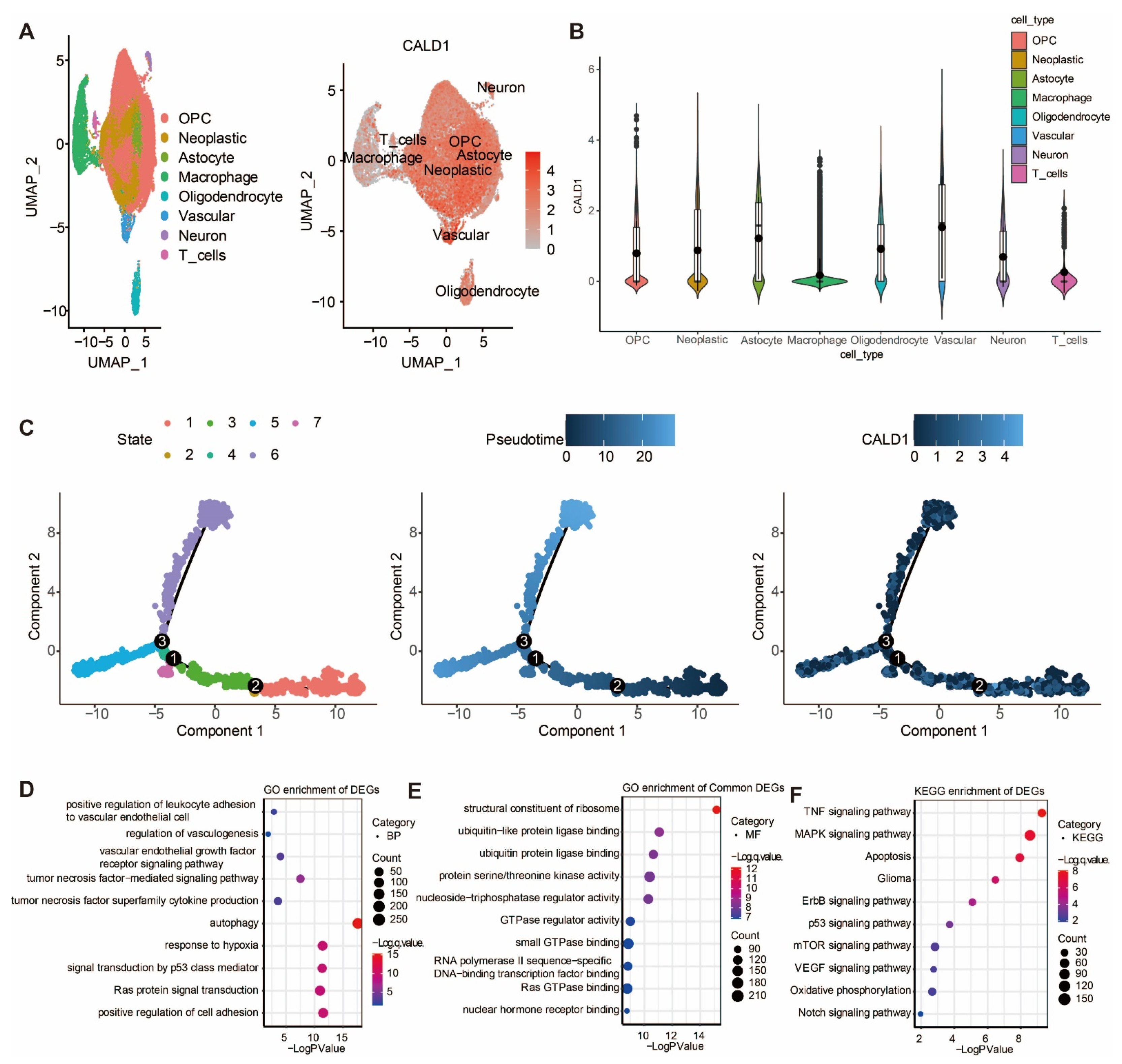 Cancers 13 02705 g003