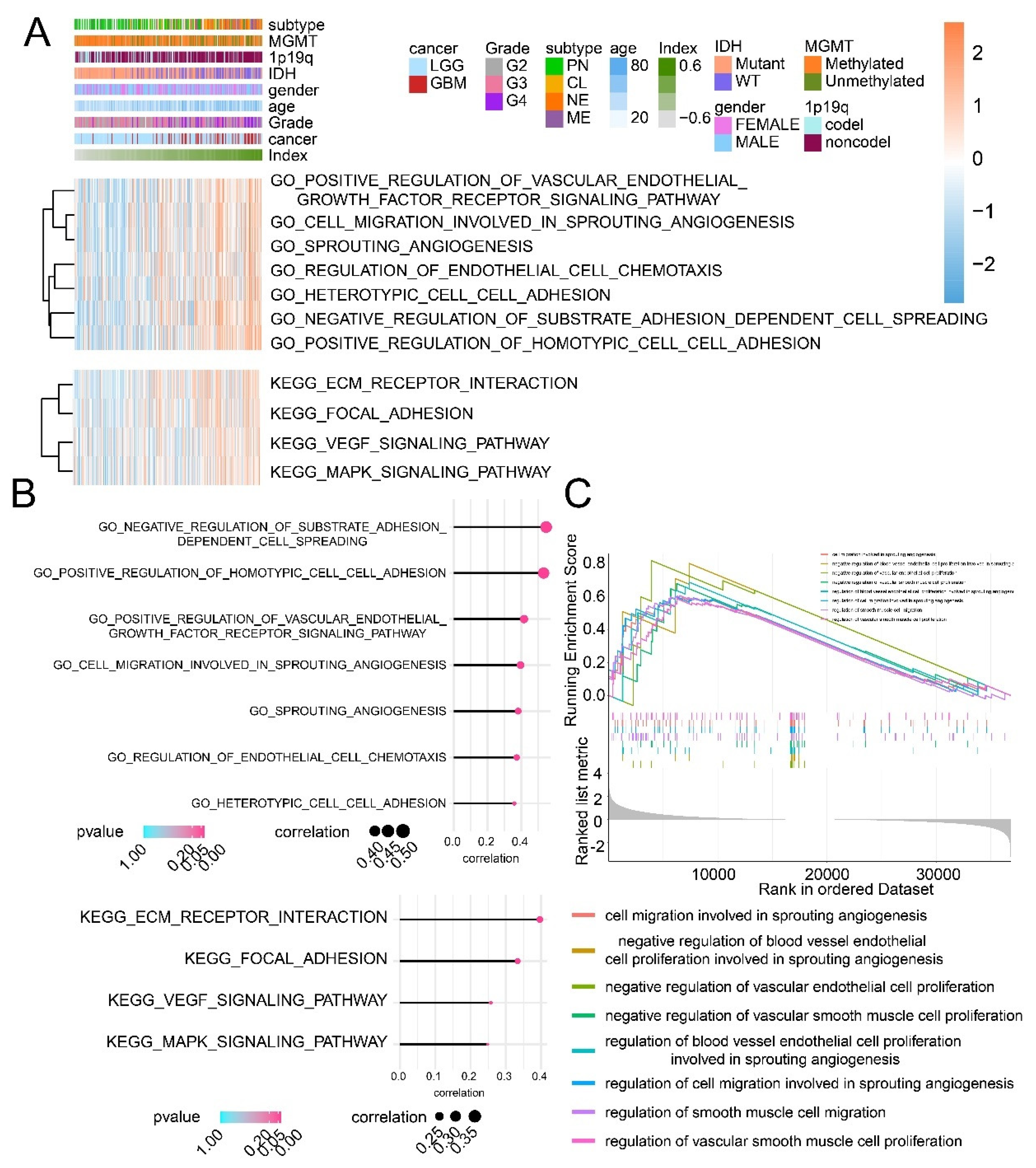 Cancers 13 02705 g006