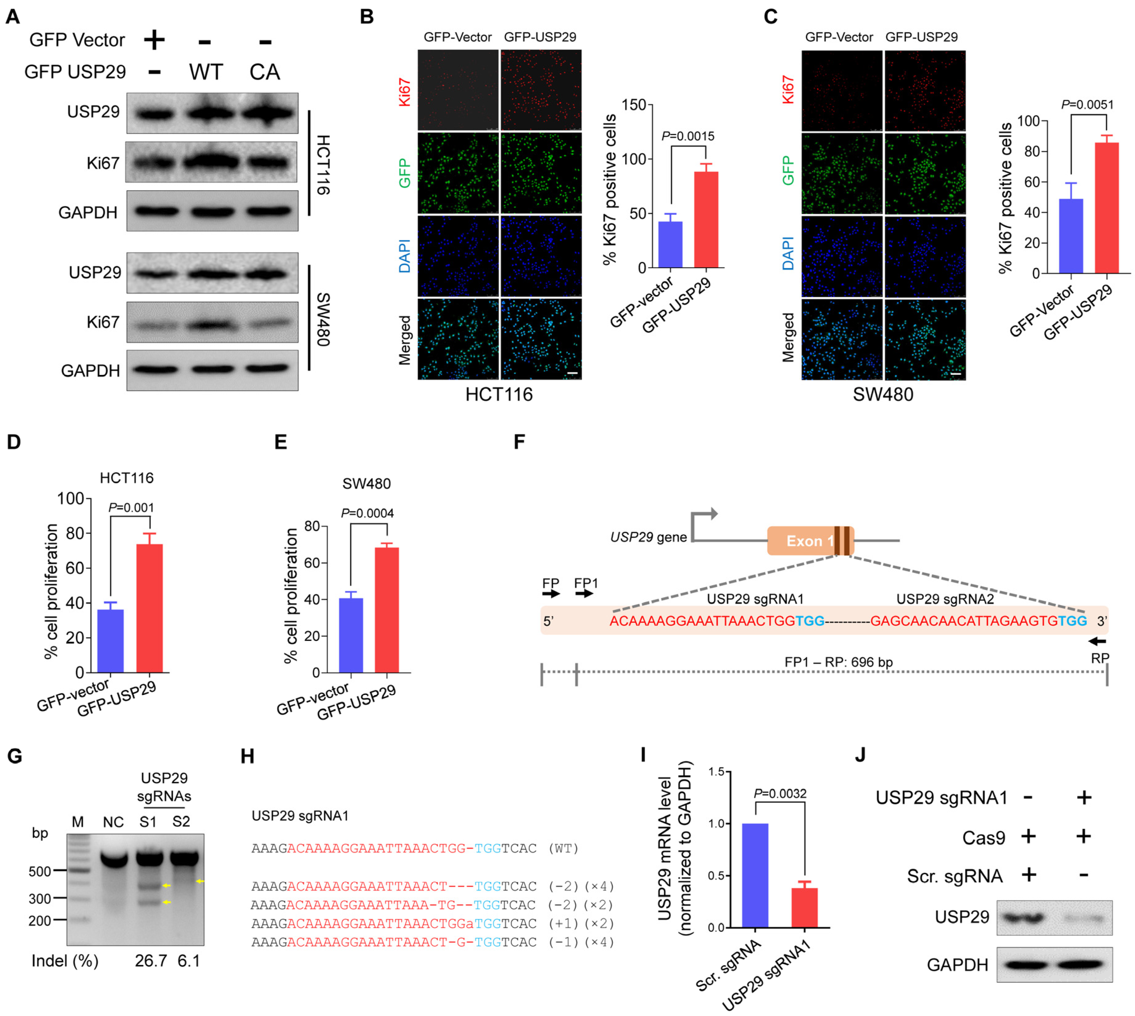 Cancers 13 02706 g002 Cancers 13 02706 g002