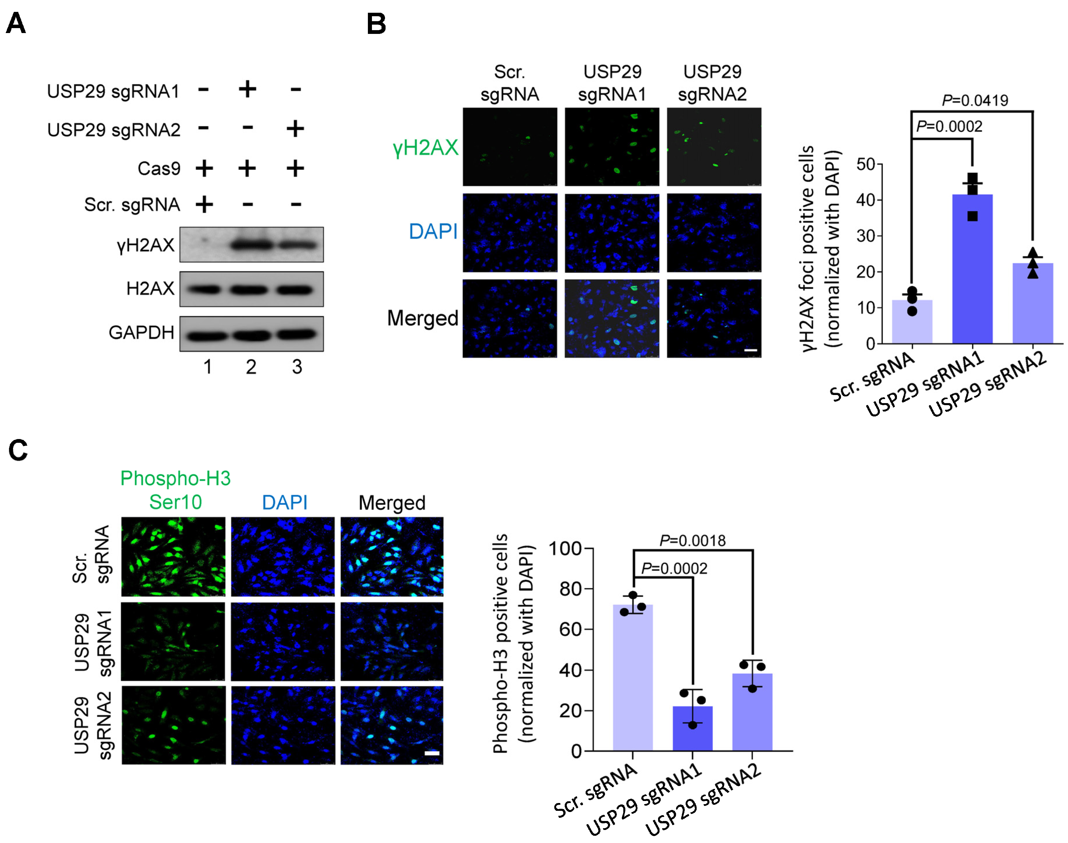 Cancers 13 02706 g003 Cancers 13 02706 g003