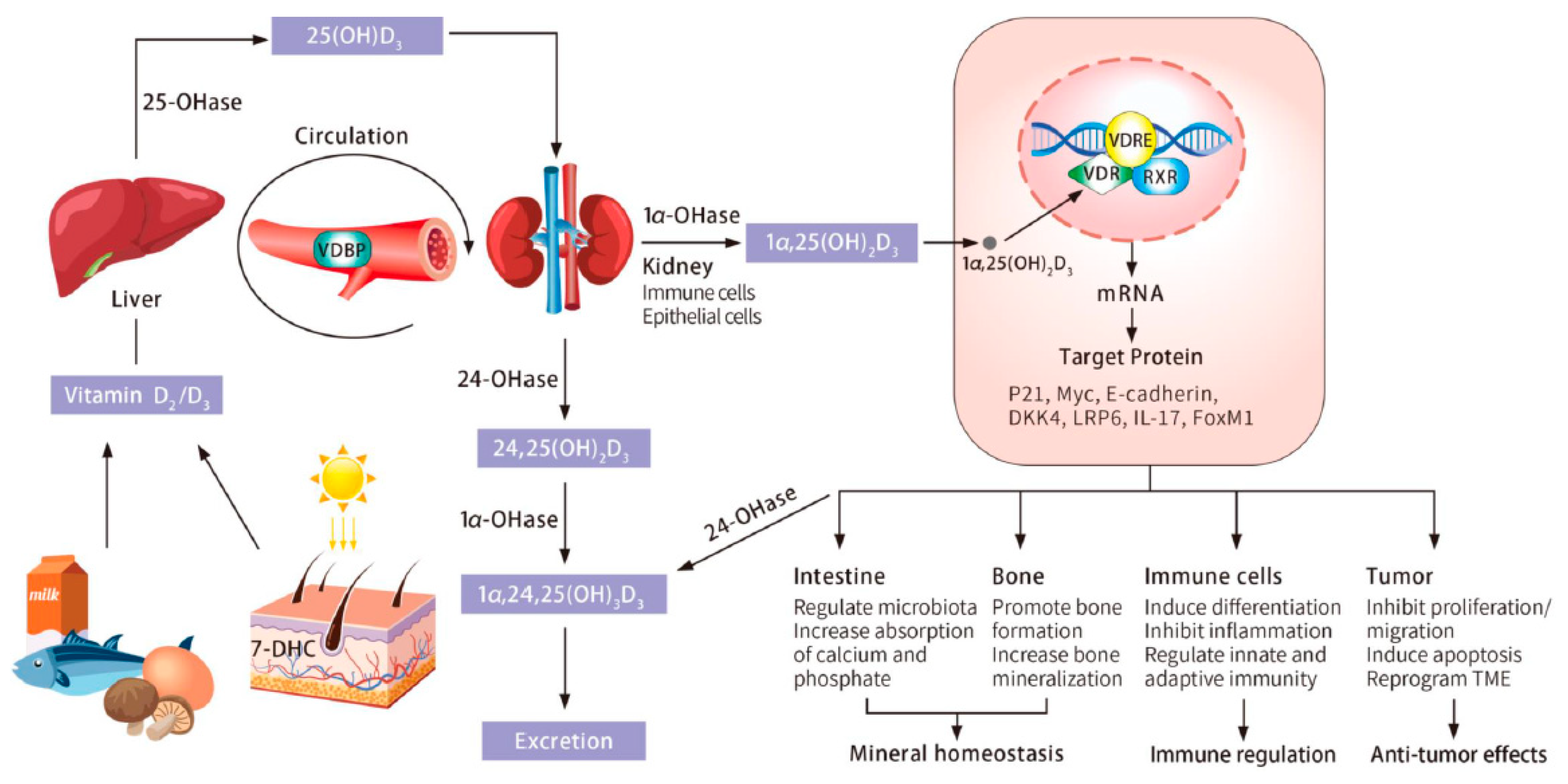Cancers 13 02716 g001 Cancers 13 02716 g001