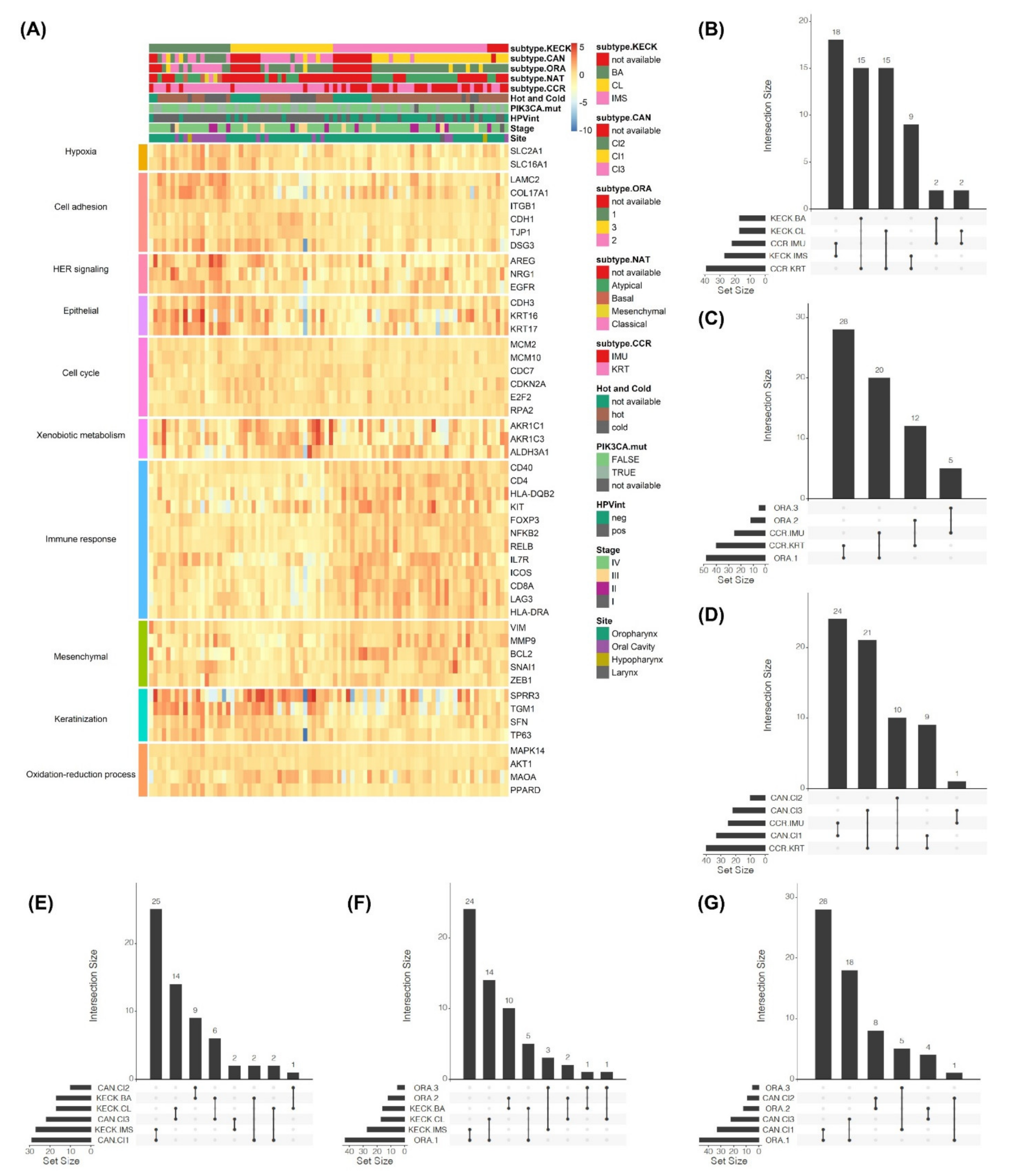 Cancers 13 02721 g001 Cancers 13 02721 g001