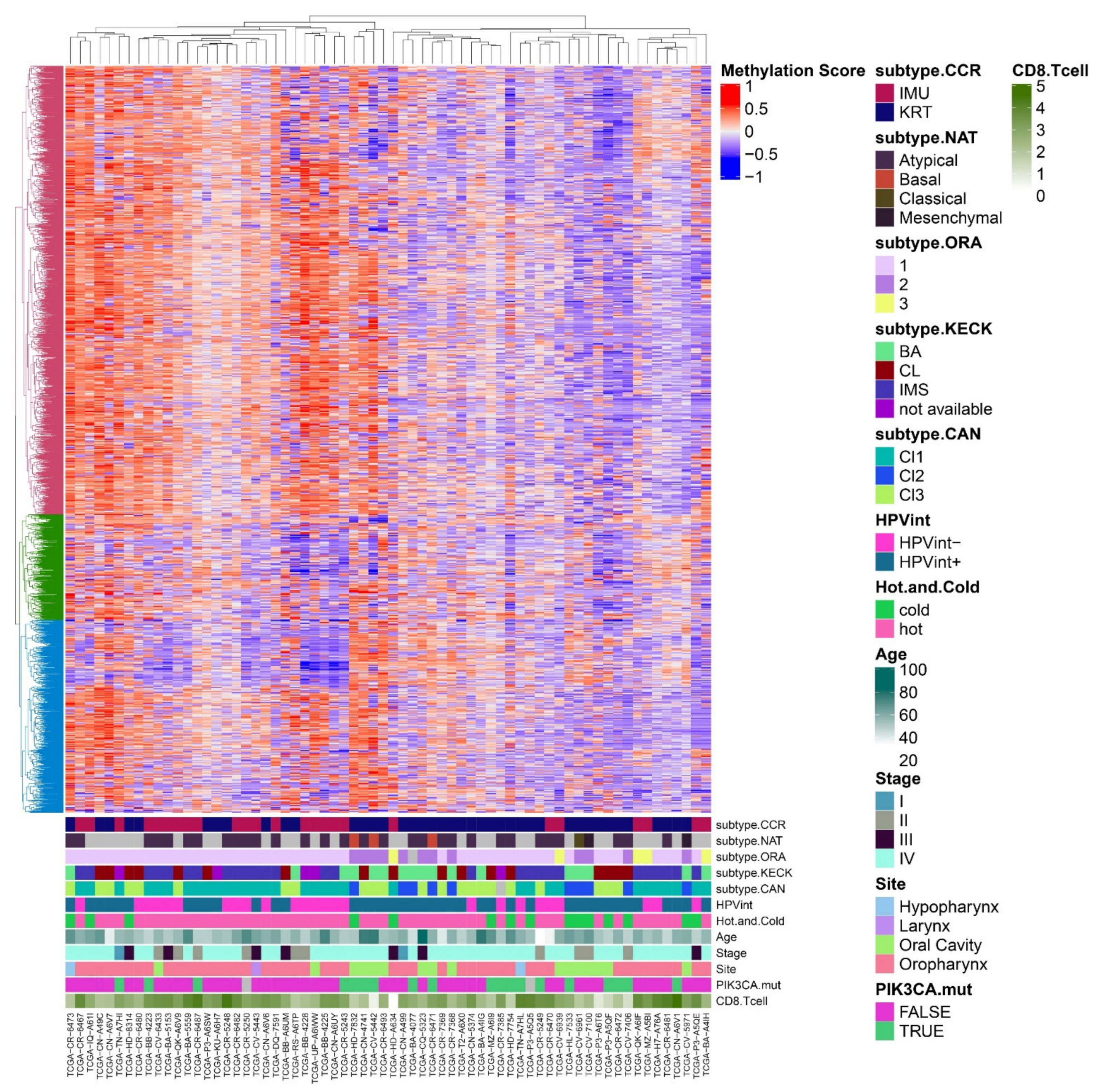 Cancers 13 02721 g002 Cancers 13 02721 g002