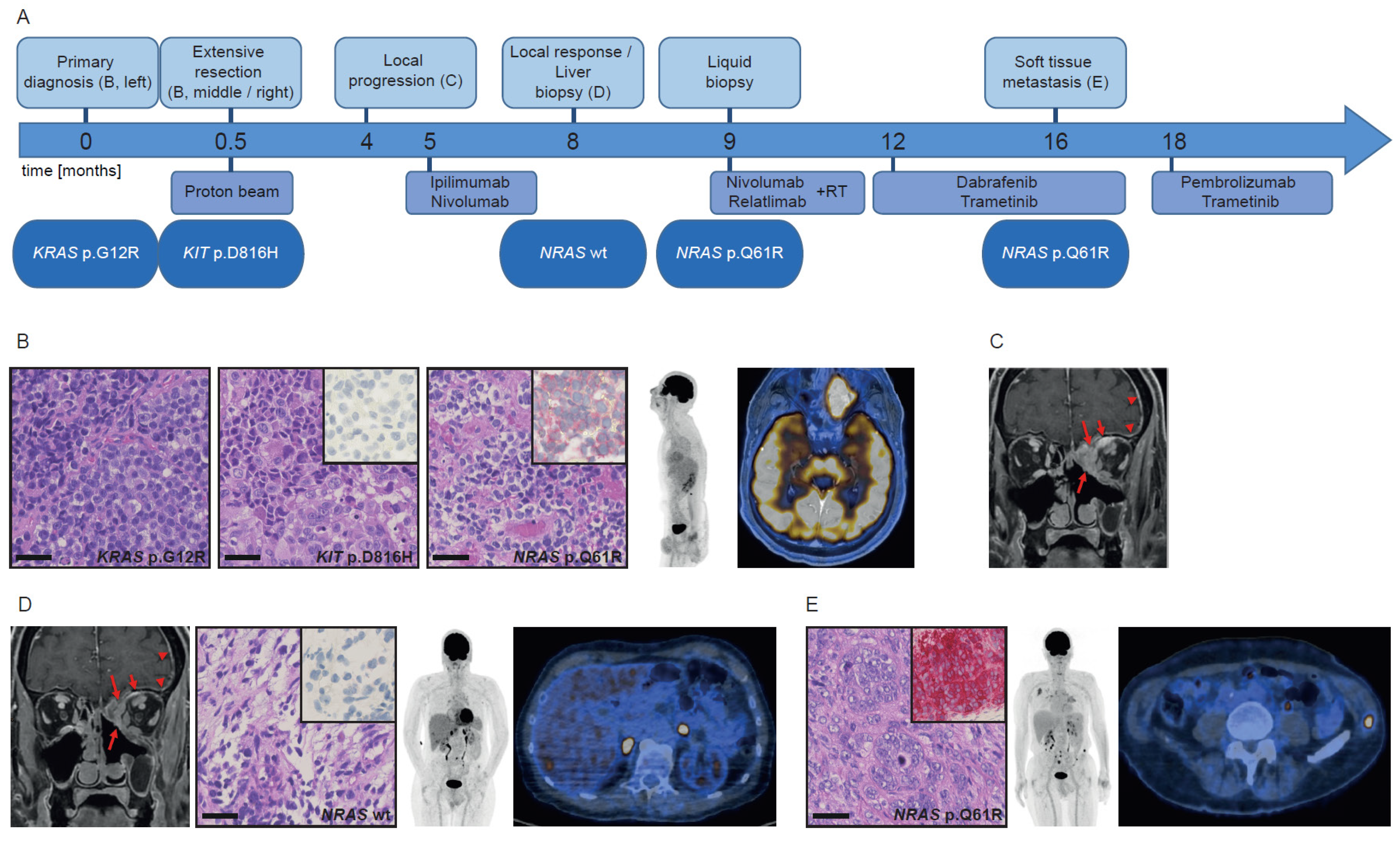 Cancers 13 02725 g001 Cancers 13 02725 g001