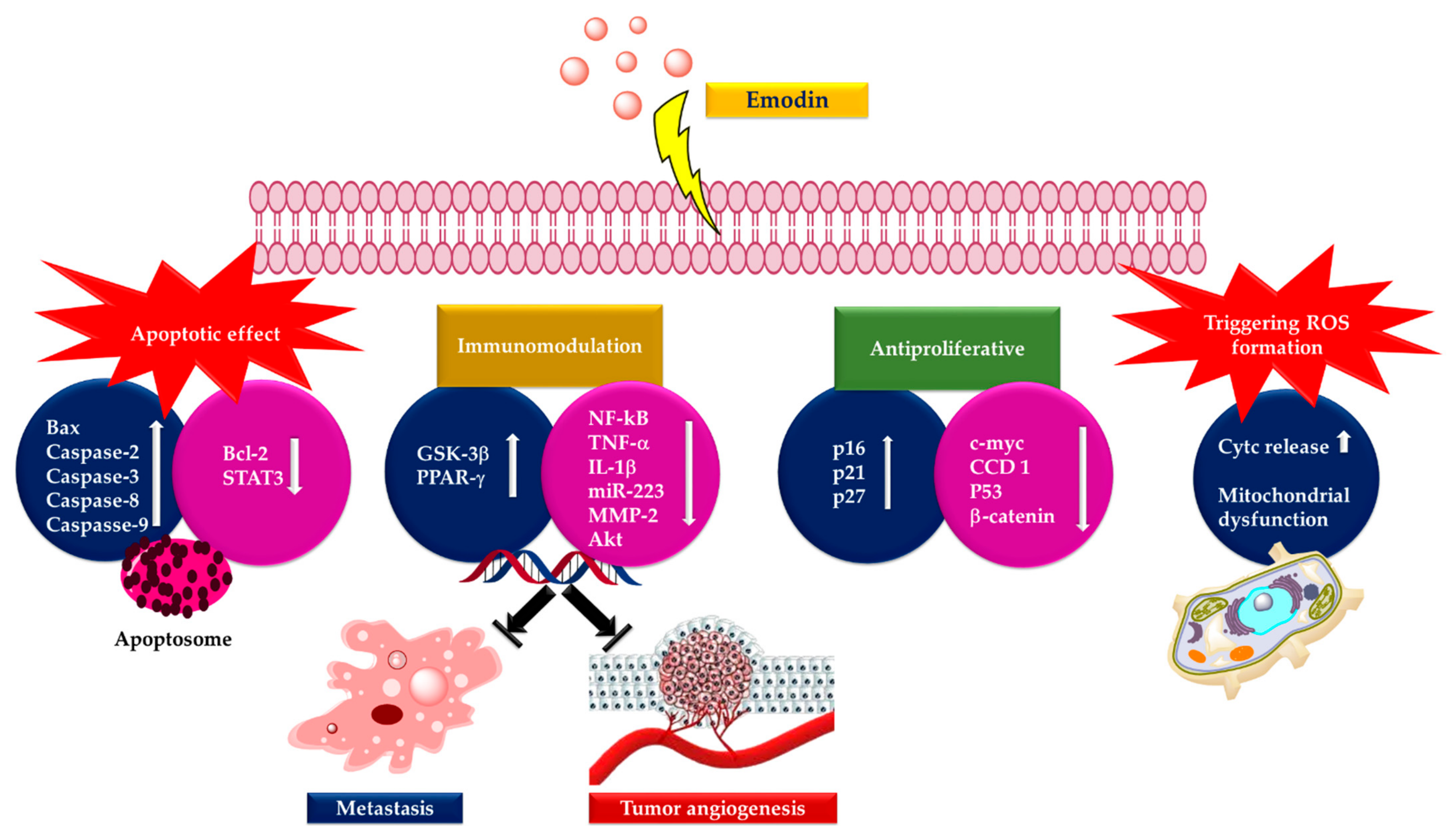 Cancers 13 02733 g006 Cancers 13 02733 g006
