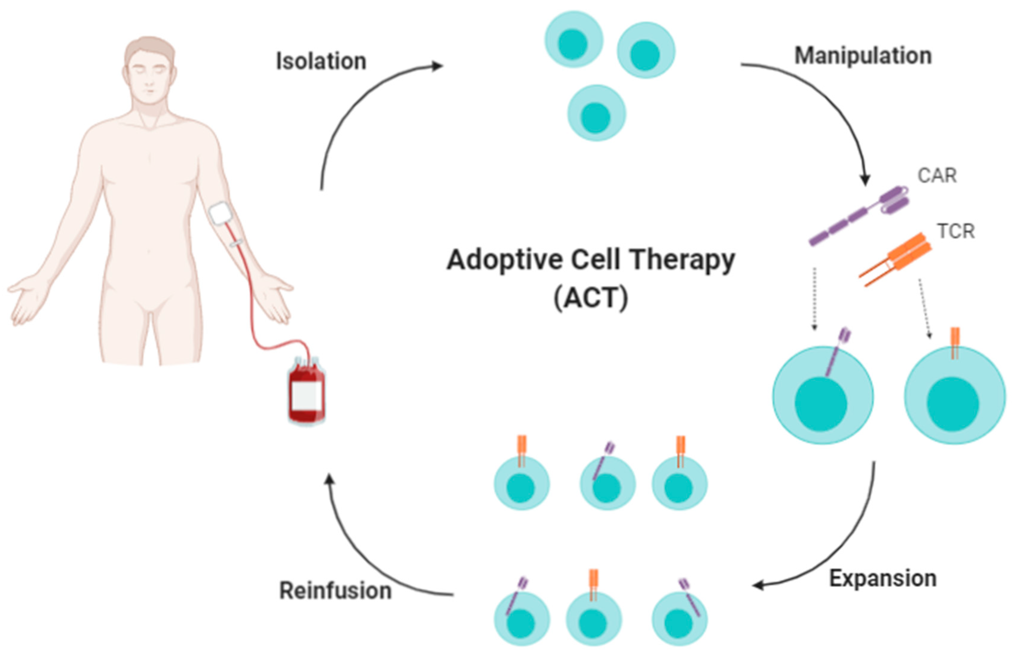 Cancers 13 02735 g005